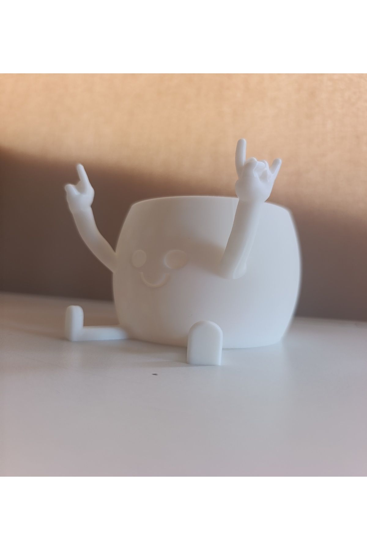 Mey3DDesign Smiley Sukulent Saksı