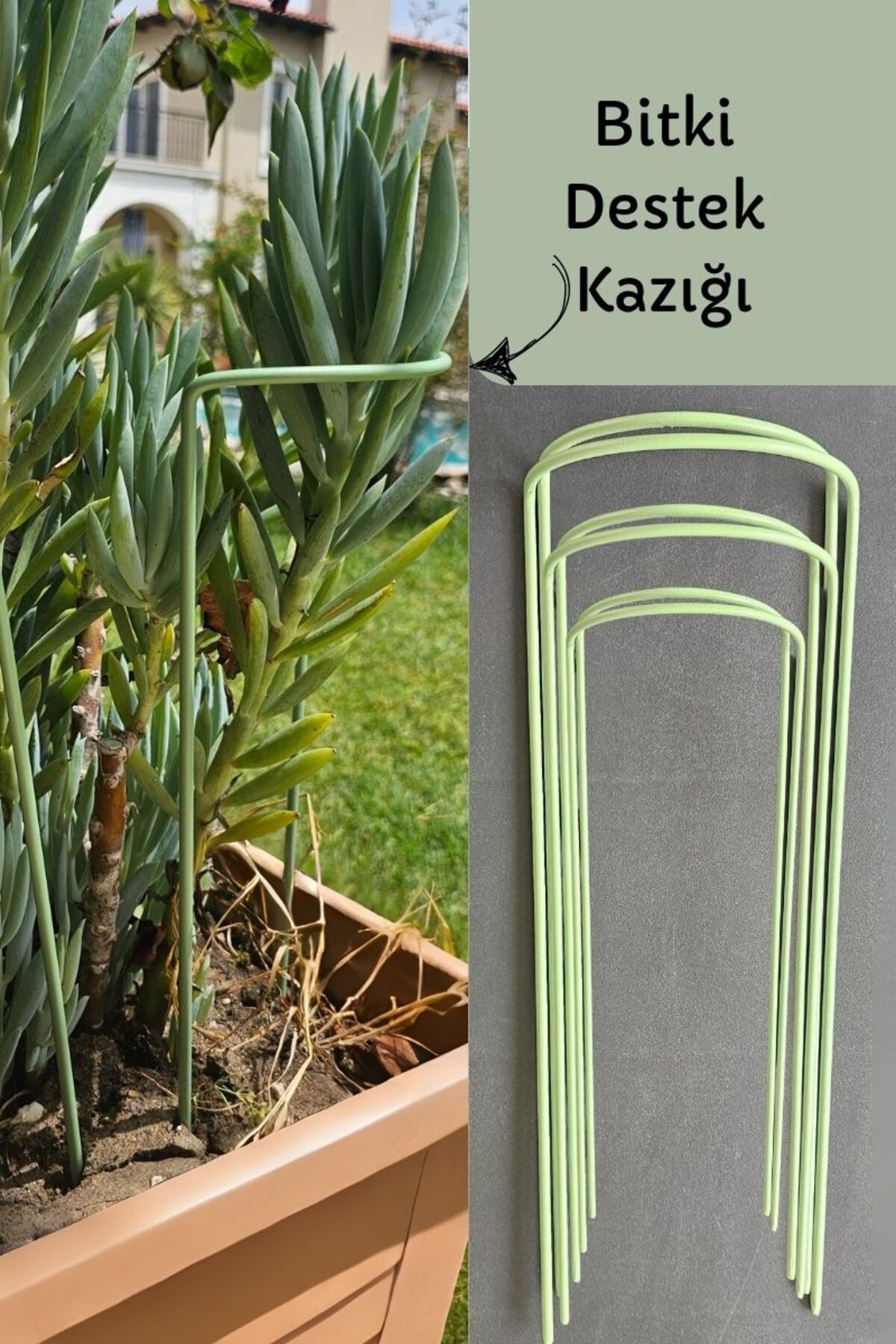 Forada Home & Style Bitki Destek Kazığı 3lü Set- Metal/Yeşil