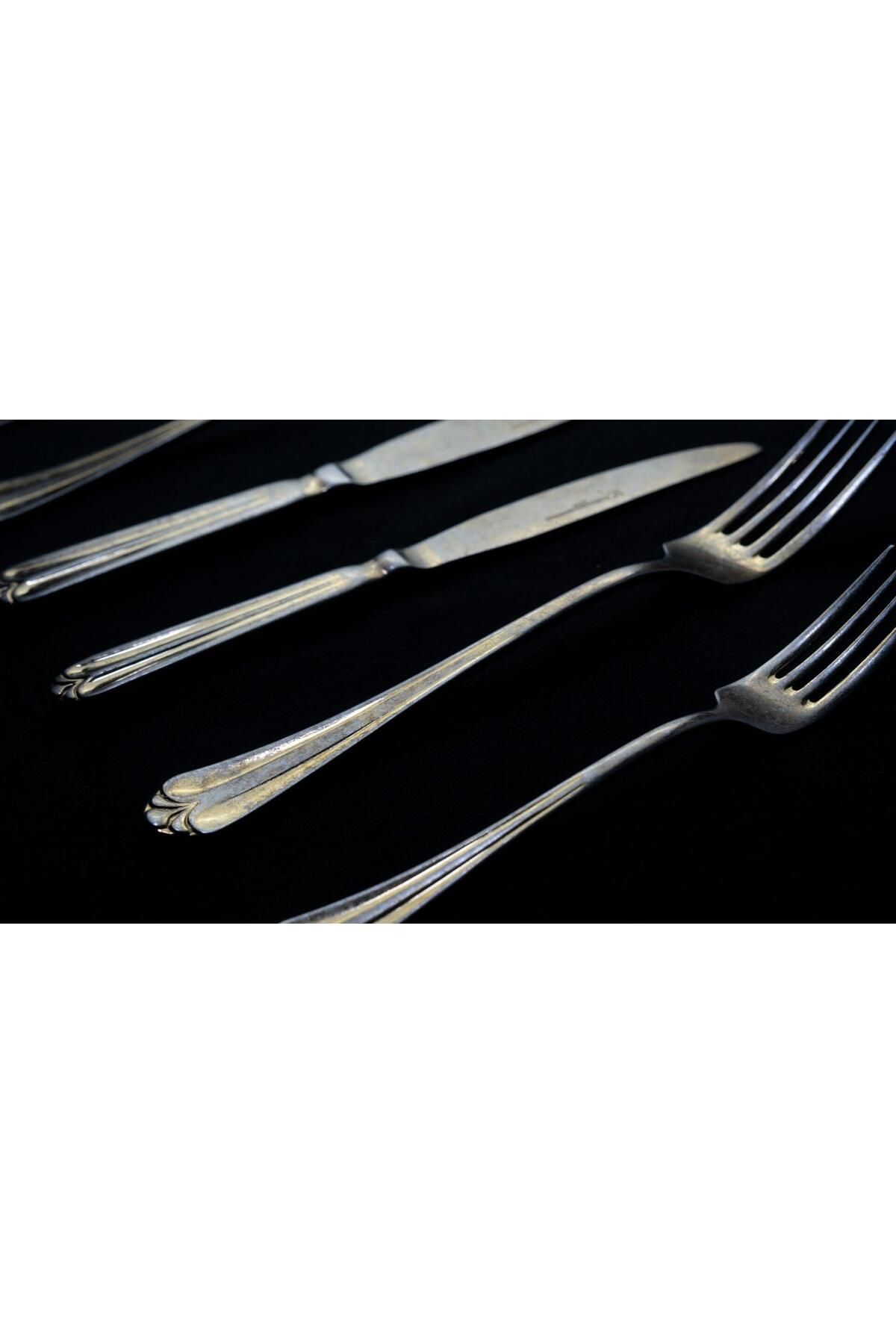 MSWISHŞEYMAÇETİN-Solingen Girls Tower Gold 42 Pieces Cutlery Set 4