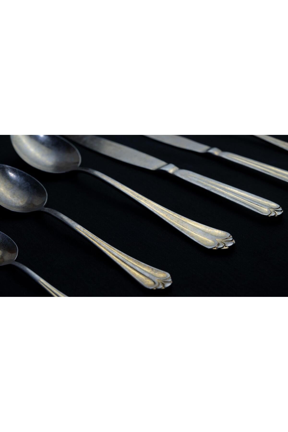 MSWISHŞEYMAÇETİN-Solingen Girls Tower Gold 42 Pieces Cutlery Set 5