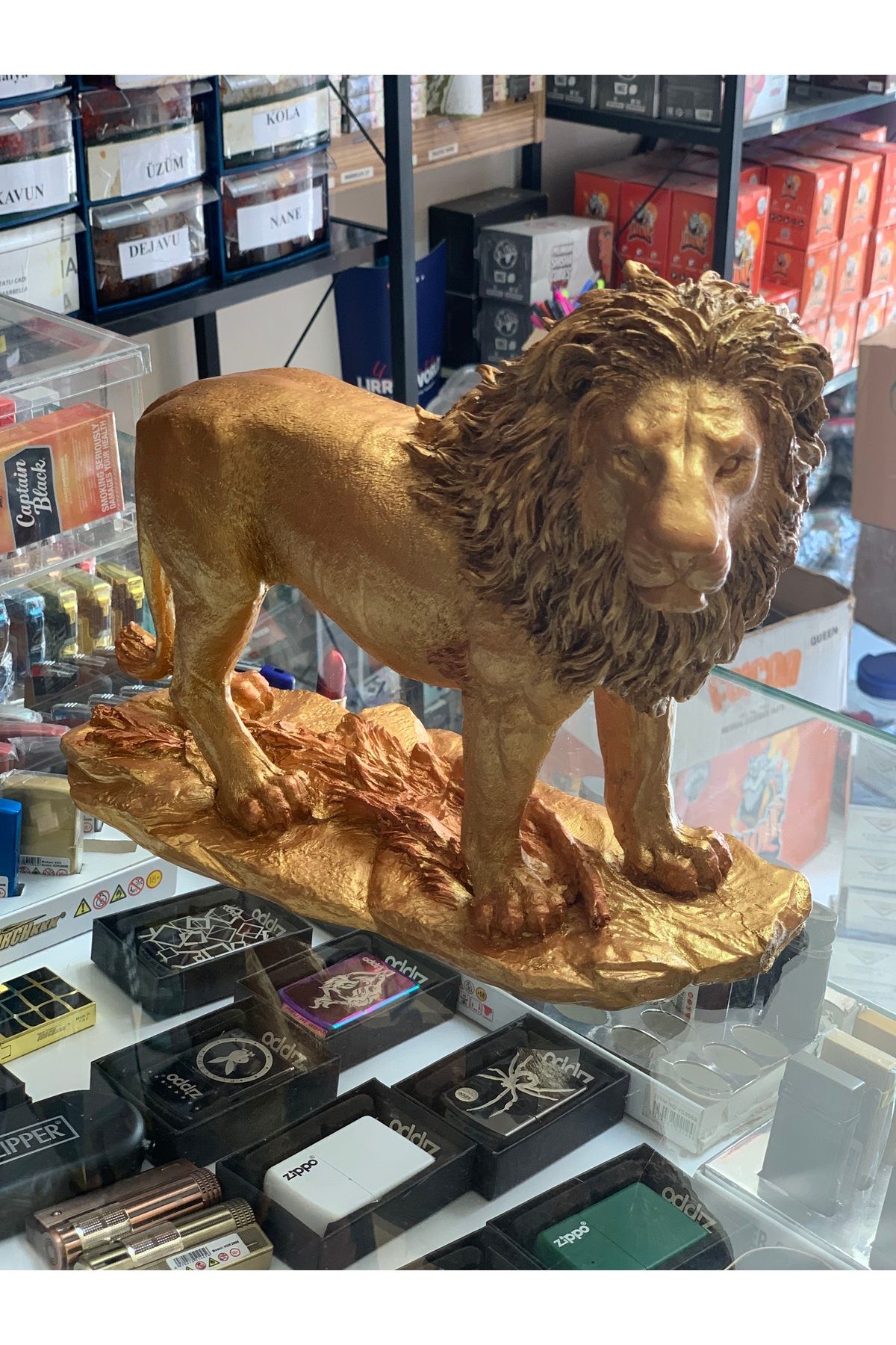 heykelcim Aslan Heykel Biblo