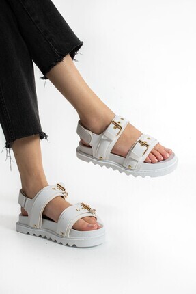 The most searched categories