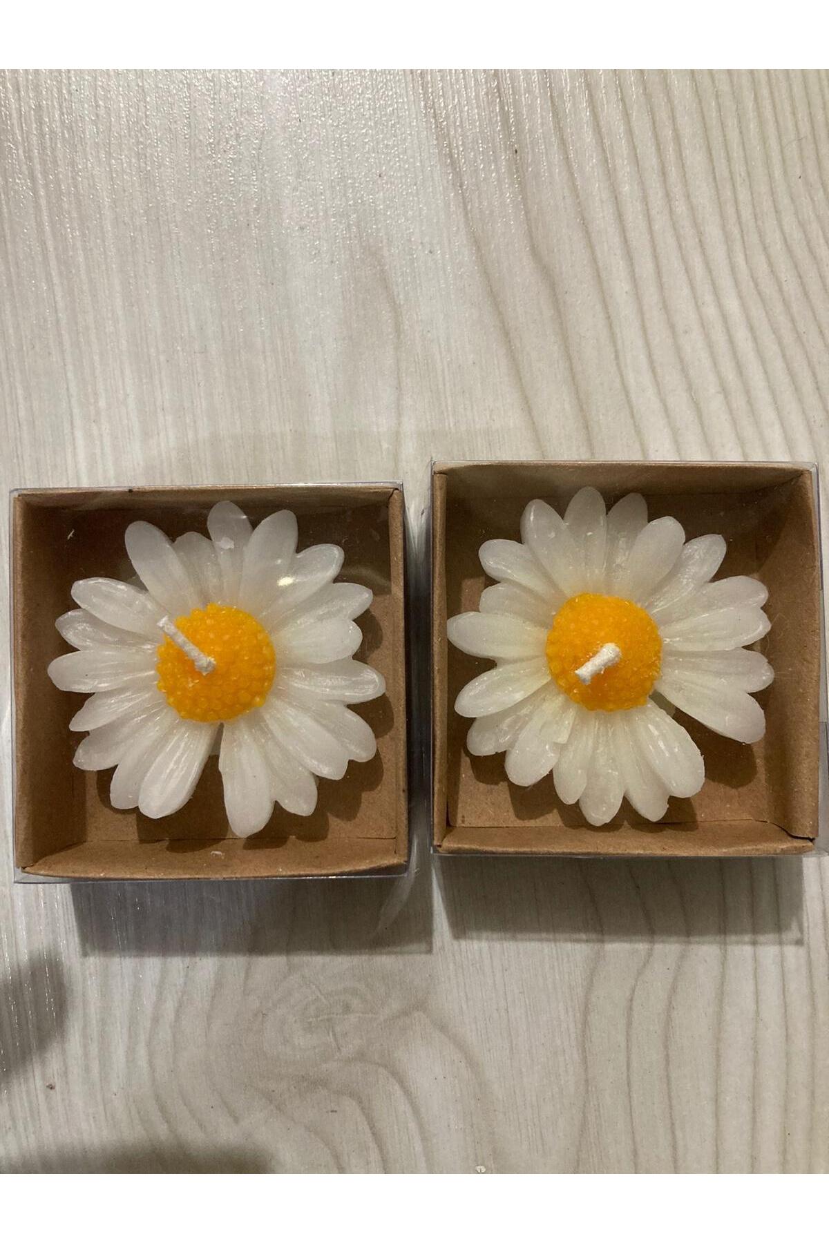 aralmini 15 Adet Kraft Kutulu Papatya Mum Hediyelik, Nişan, Düğün, Sünnet, Söz, Kına, Doğum Günü fotoğrafı 5 (önizleme)