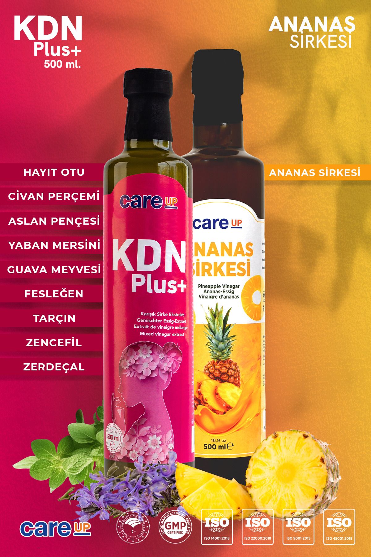 careup Kdn Plus Hayıt Otu Ve Civan Perçemi İçeren Sirke Karışımı 500ml + Ananas Sirkesi 500ml