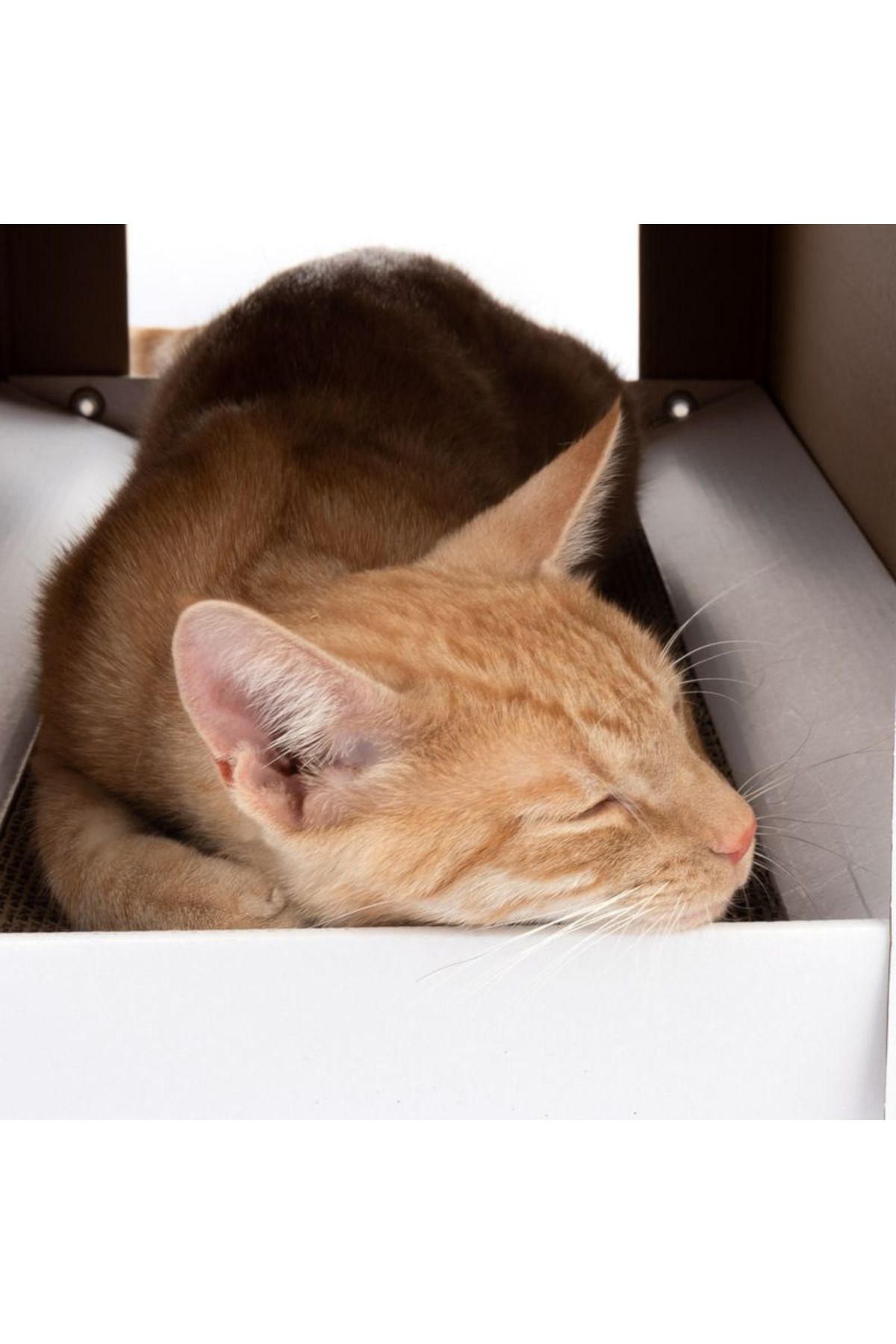 OEM-Cat house with reversible scratching post and catnip, 58x36x41 cm XL Home 3
