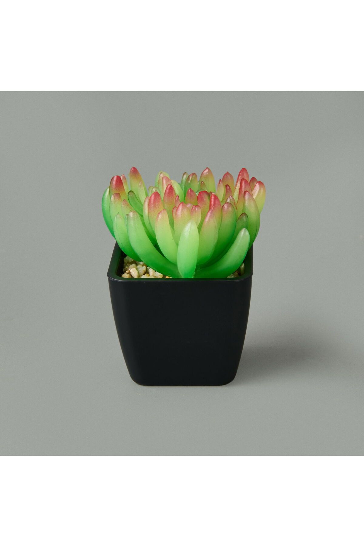 ASPARTAM Mini Saksıda Yapay Çiçek - - 11x5 cm
