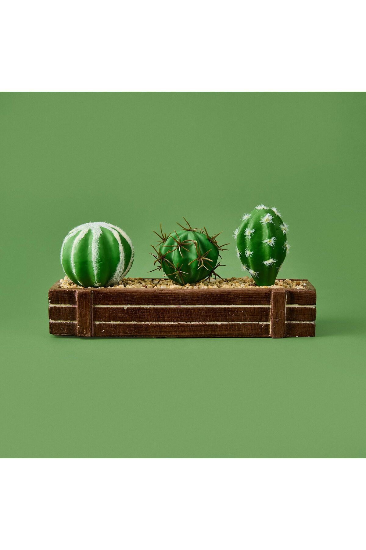 ASPARTAM Mini Kasada Kaktüs - Kahverengi - 8x21 cm
