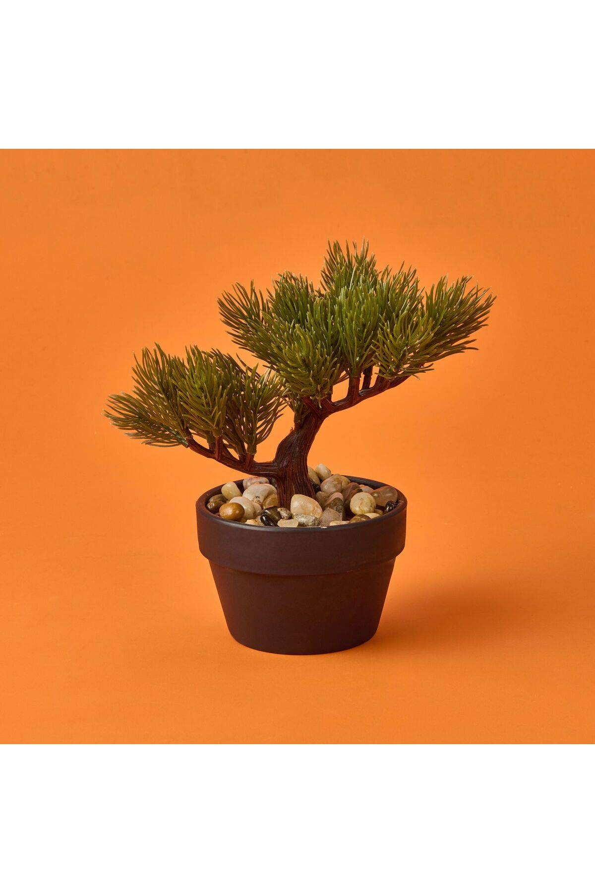 ASPARTAM Bonsai Çiçek - - 19 cm