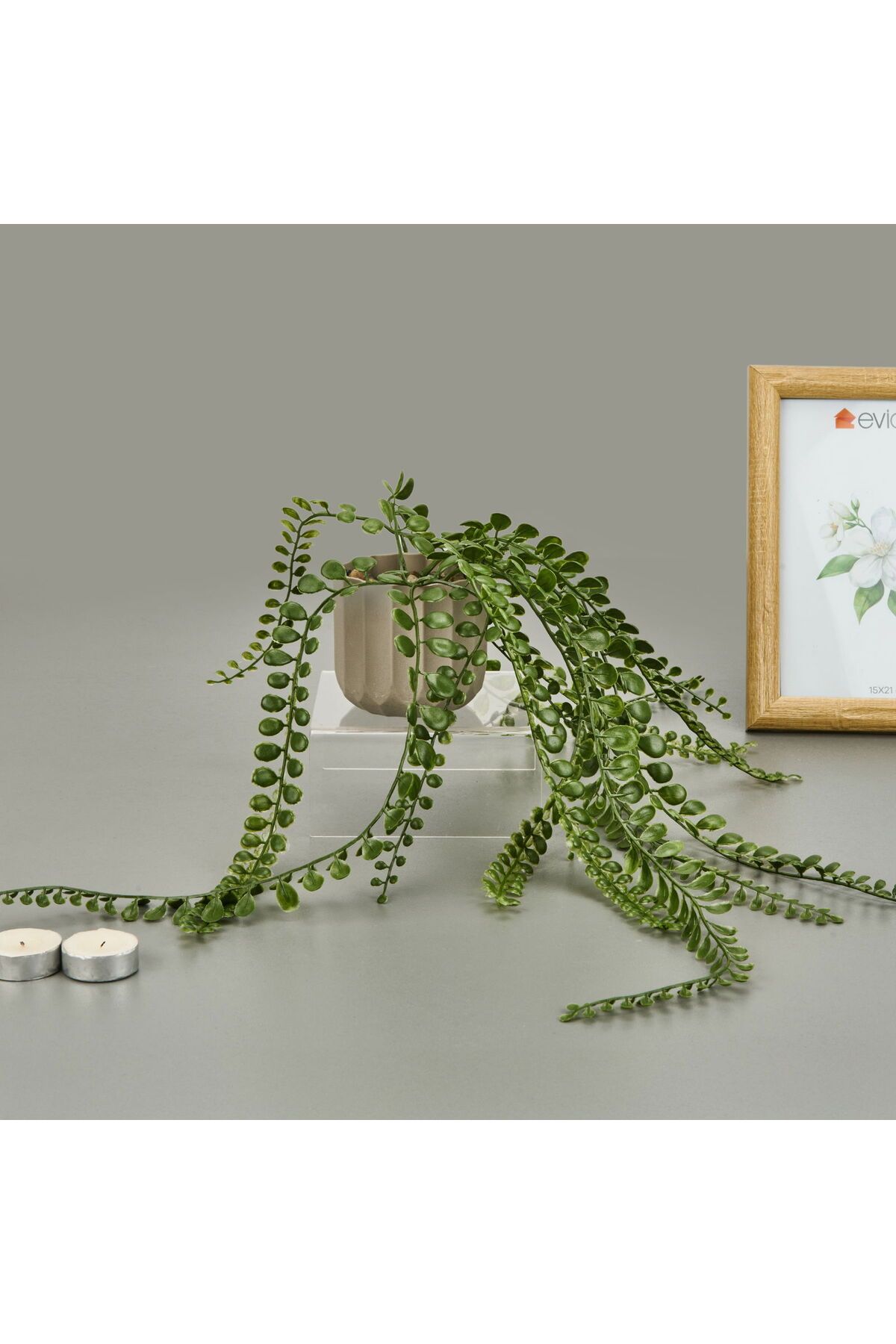ASPARTAM Living Mika Saksılı Okaliptüs Sarkıtı - Yeşil / Bej