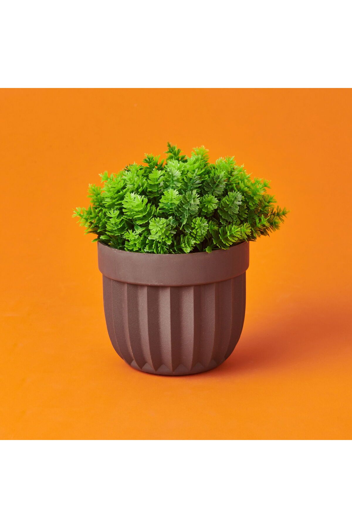 ASPARTAM Dekor Saksılı Yapay Çiçek - - 14x14 cm