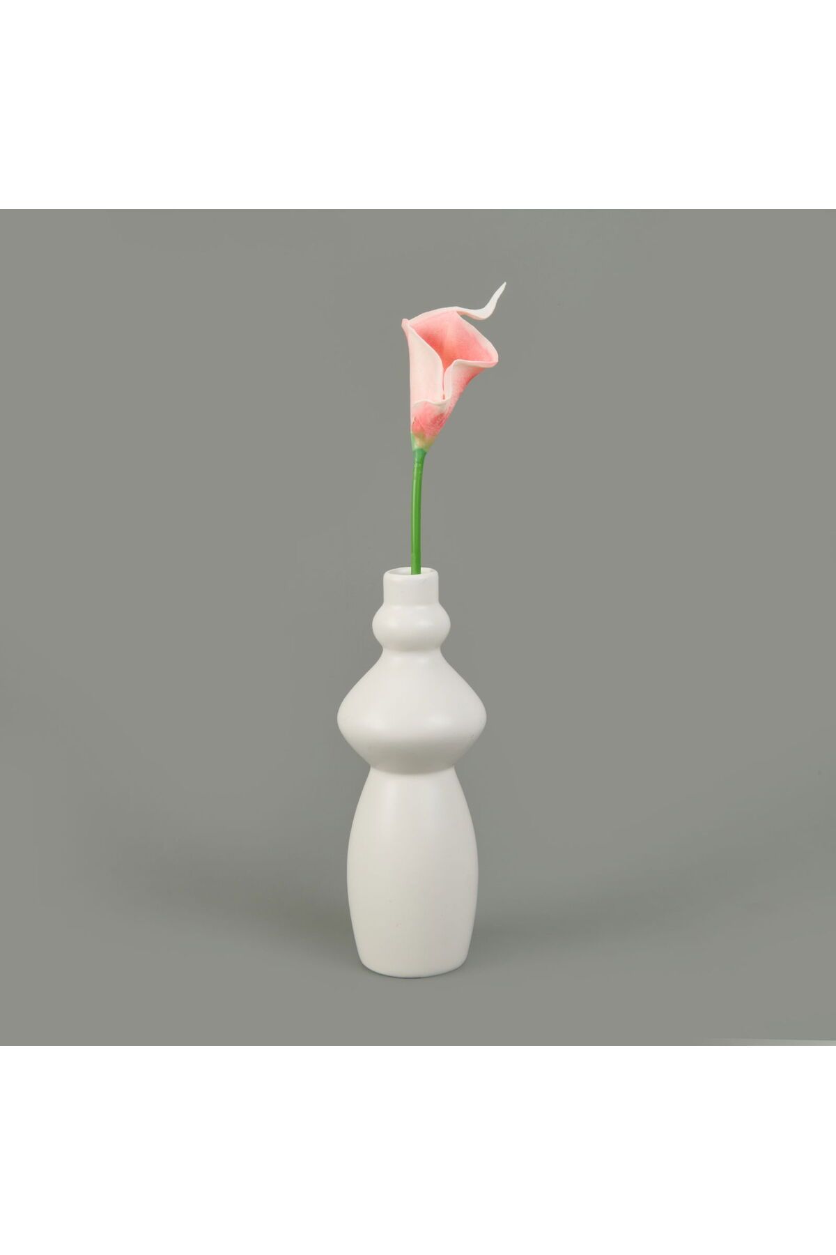 ASPARTAM Dal Gala Çiçeği - - 33 cm