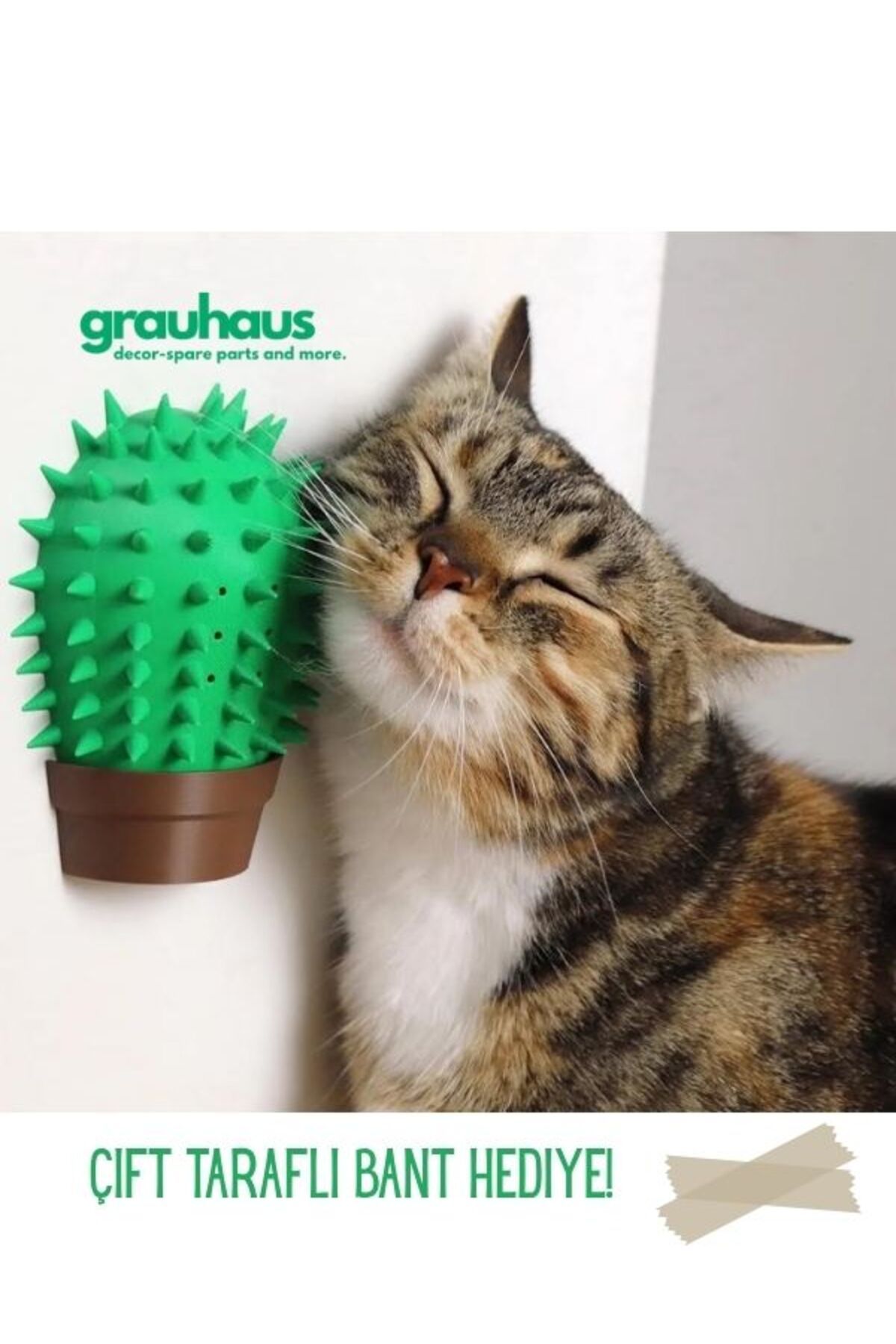 GRAUHAUS Kaktüs Kedi Tırmalama Kaşıma Aleti Kedi Tüy Bakım Kaktüsü Kedi Bakım Kaktüsü Kedi Oyuncağı