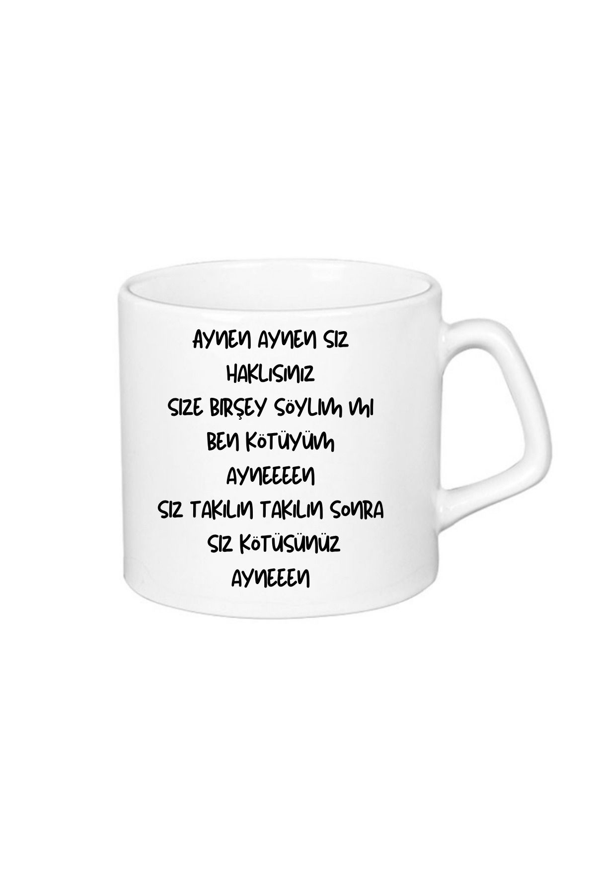 ABC Aynen aynen siz haklısınız yazılı kupa bardak A Kalite