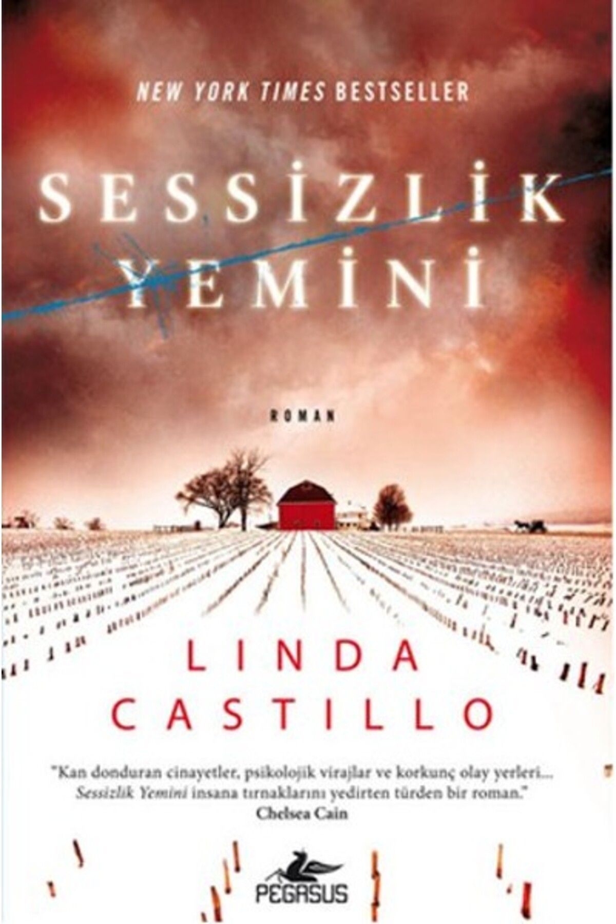 Türk Dil Kurumu Yayınları Sessizlik Yemini