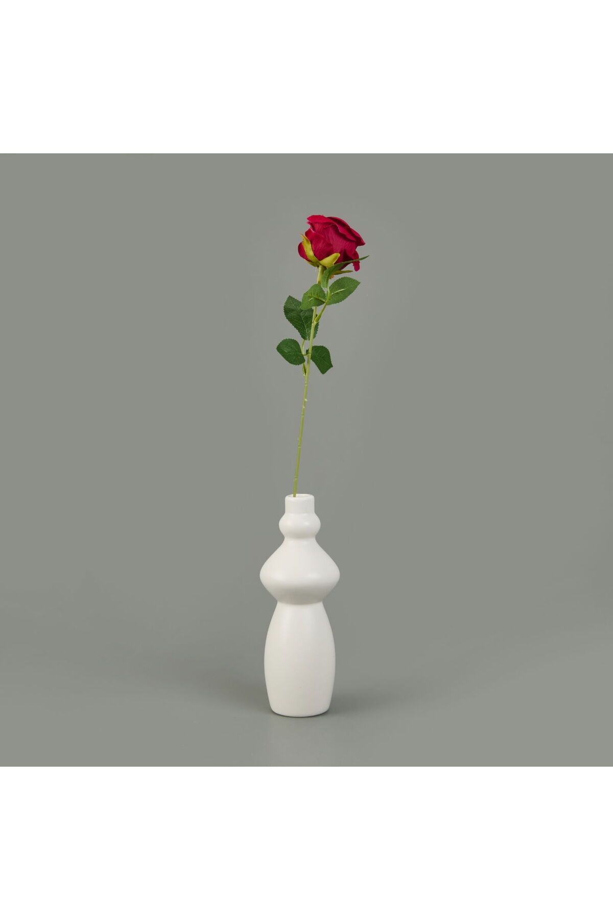 ASPARTAM Dal Gala Gül - - 33 cm