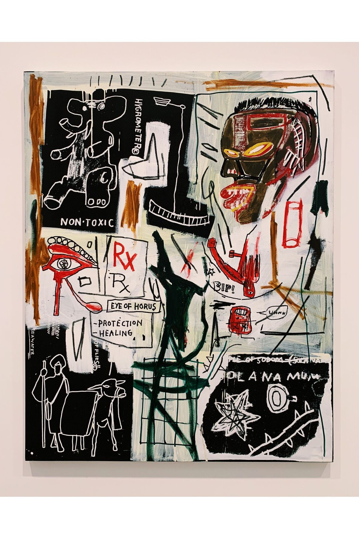 printa Art-Jean-Michel-Basquiat-006