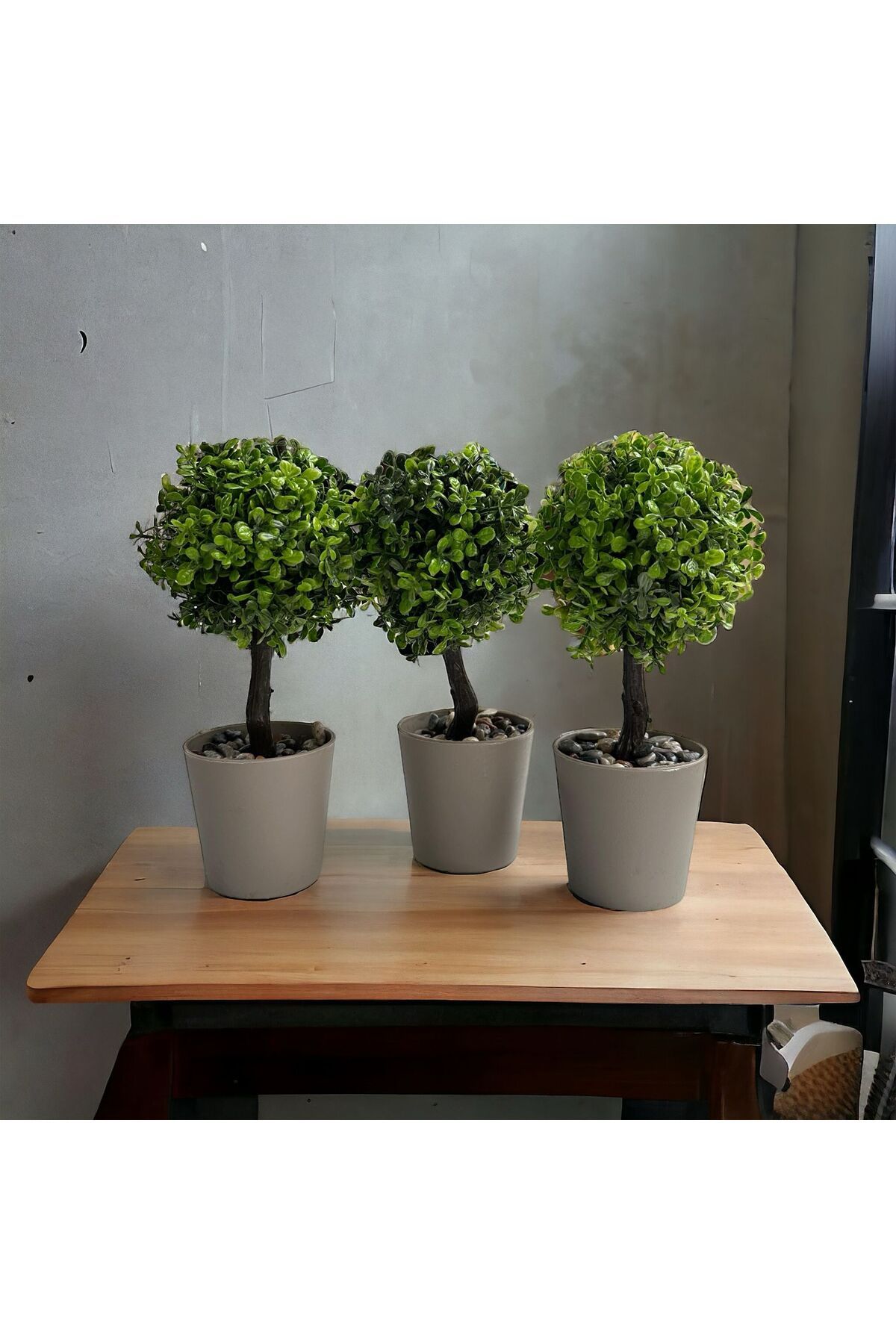 MDZ COLLECTION Mdz Home Dekoratif Üçlü Küçük Saksı Yeşil Top Ağaç