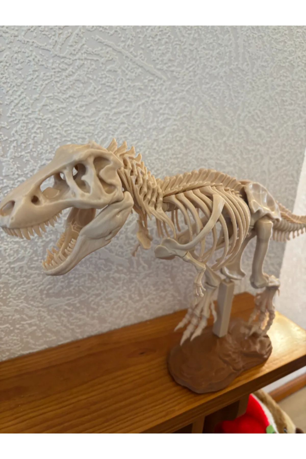 NOMOTHETIC T-Rex İskelet Destek Standı – Güçlendirilmiş Model