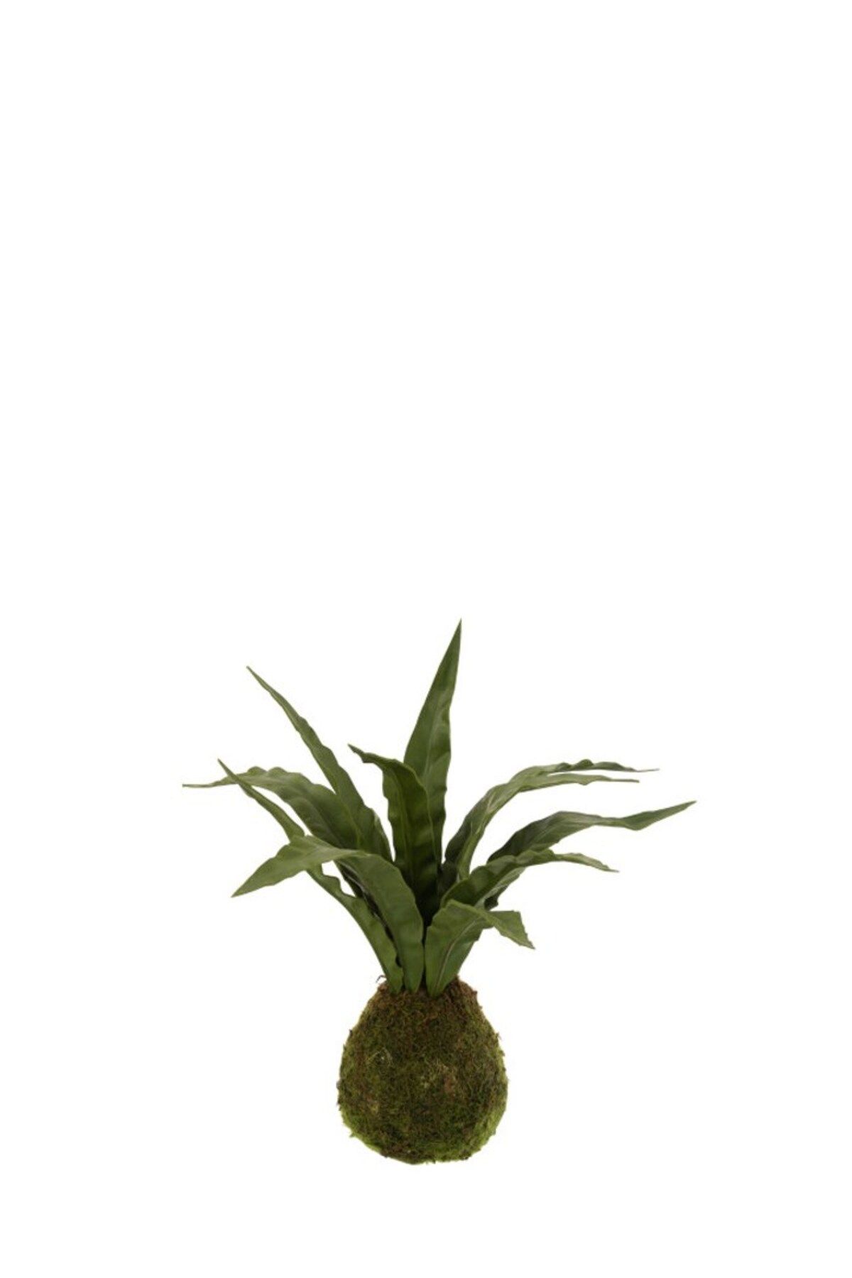 Laromita Decoration SNAKE YAPAY BİTKİ