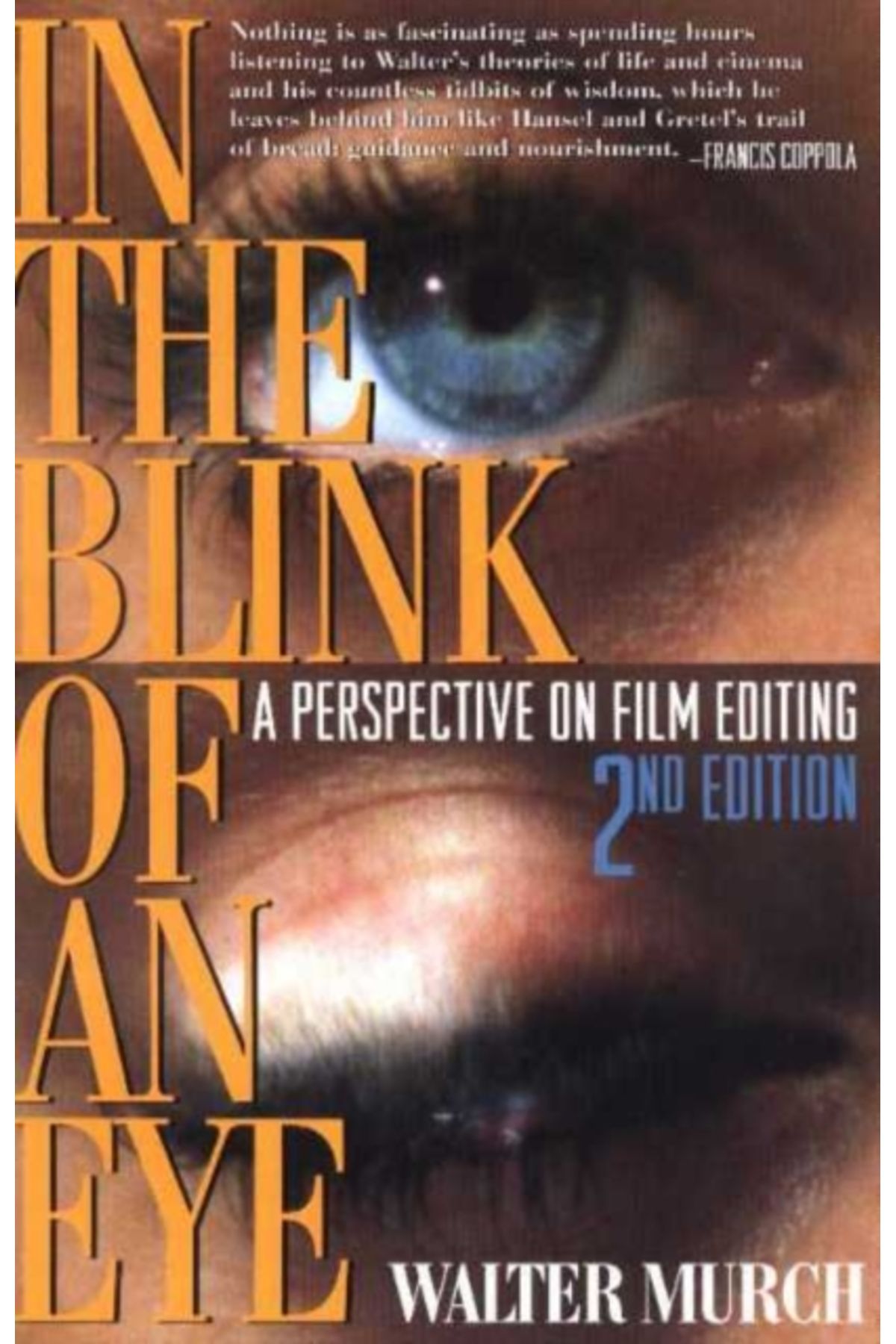 Pandora Kitabevi In the Blink of An Eye 2e : A Perspective on Film Editing
