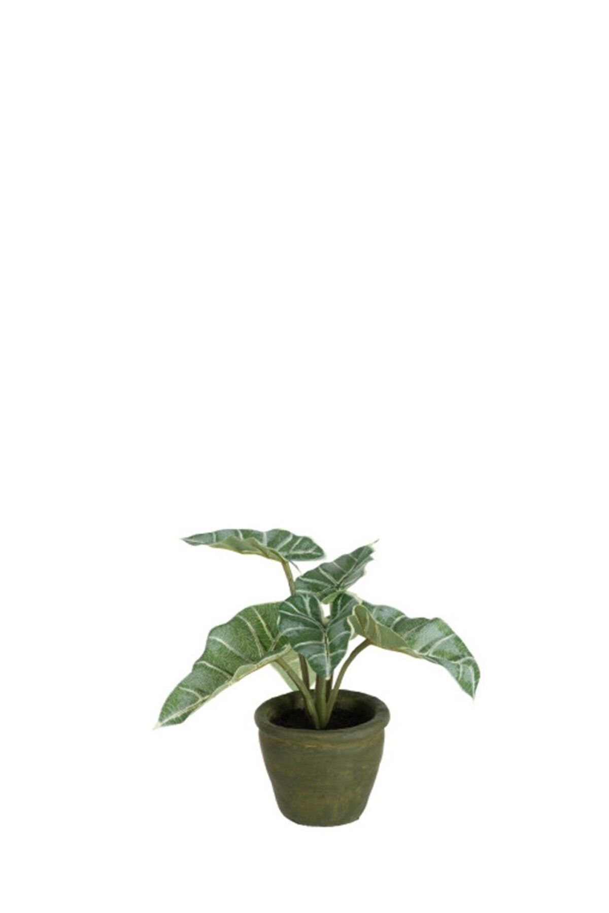 Laromita Decoration ALOCASIA YAPAY BİTKİ