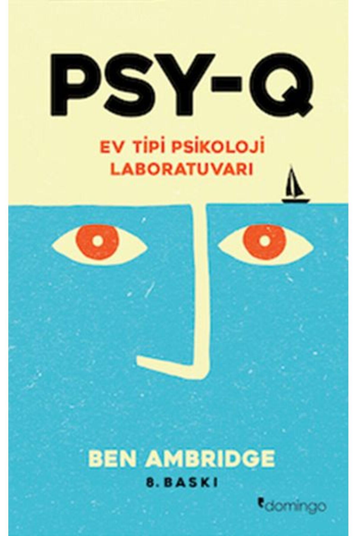 Karatay Yayınları PSYQ Ev Tipi Psikoloji Laboratuvarı