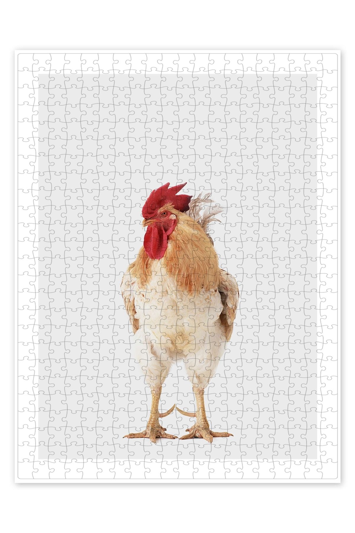 Jeronkarji Horoz I 500 Parça Puzzle Yapboz Mutfak Temalı Yetişkinler için