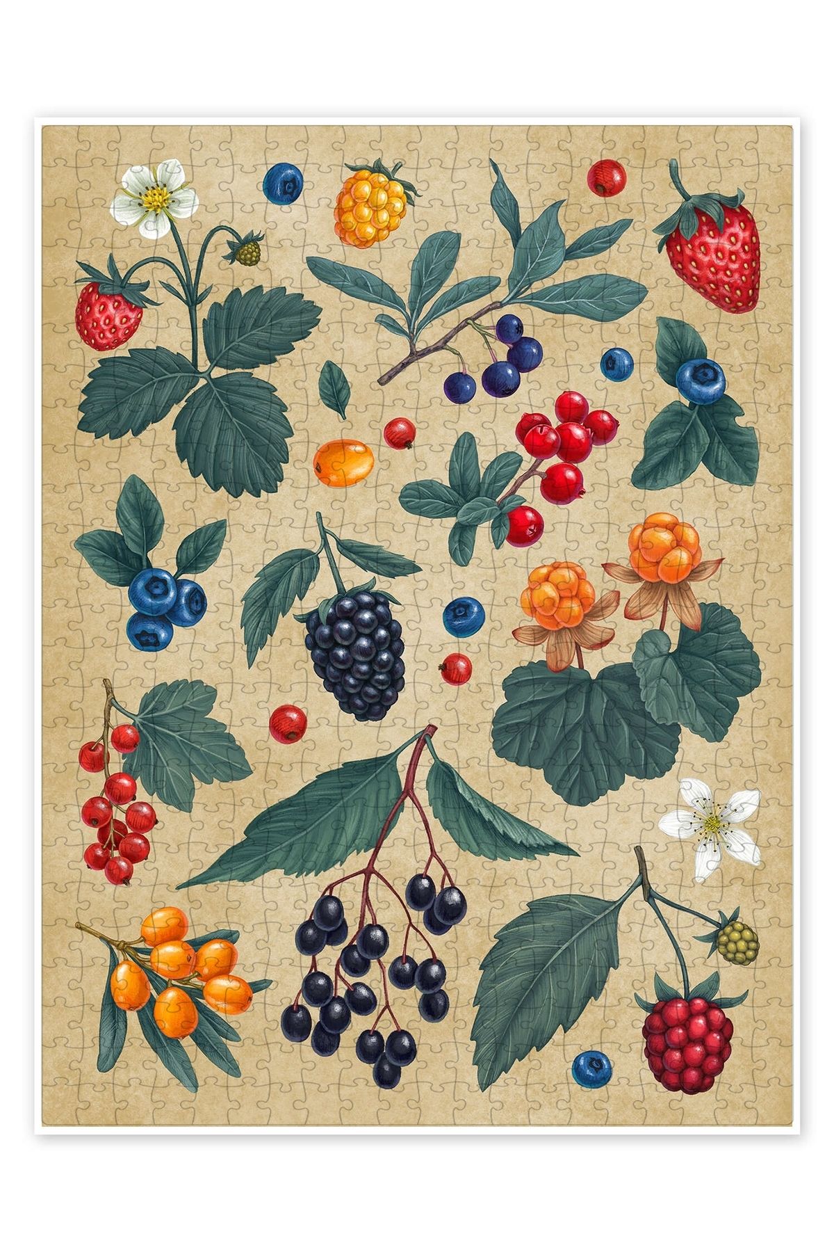 Jeronkarji Orman Meyveleri 500 Parça Puzzle Yapboz Mutfak Temalı Yetişkinler için