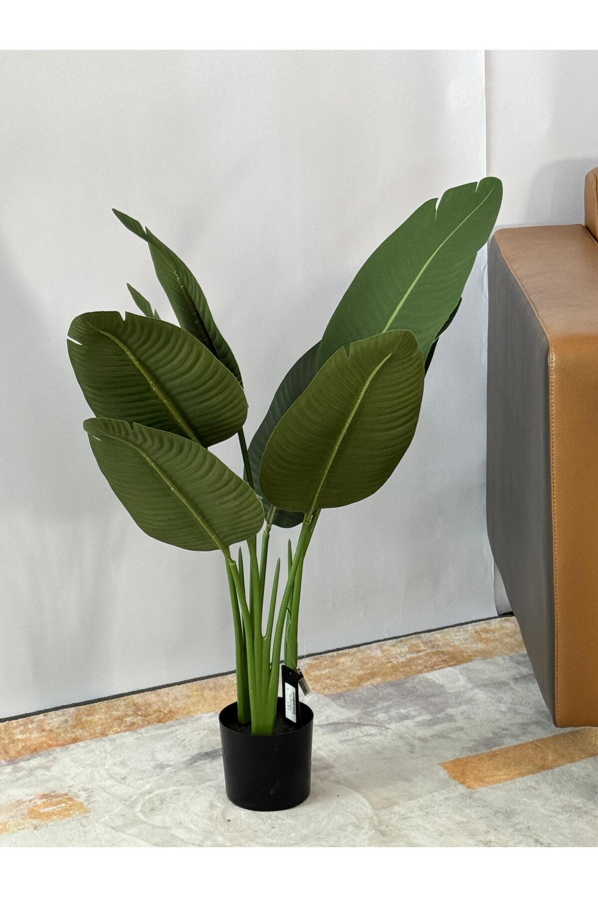 شجرة موز صناعية داخلية بوعاء أسود - ارتفاع 105 سم