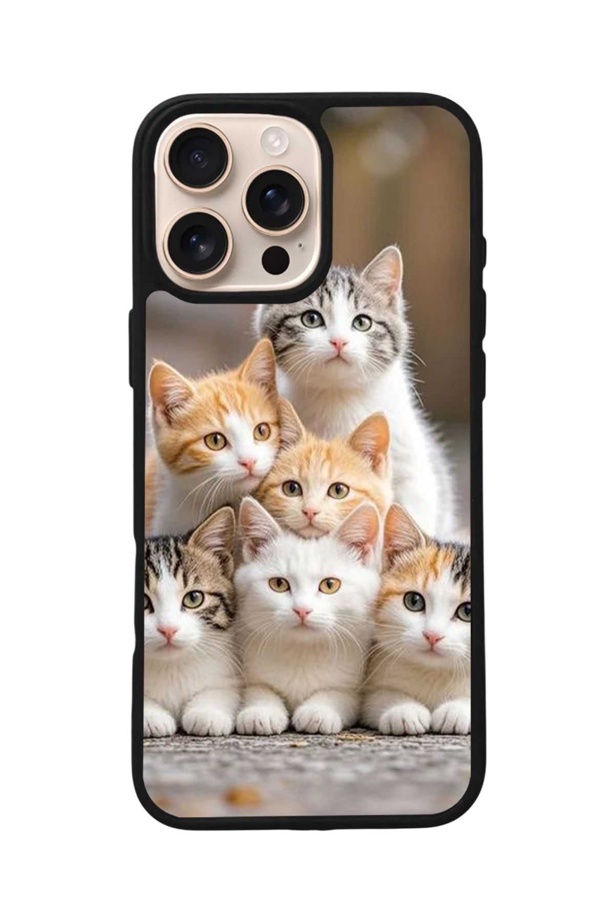Aksel Kılıf Apple iPhone 16 Pro Max Uyumlu Baskılı,Mat Siyah,Yumuşak Silikon,Koruyucu,Şok Emici Kapak,Kılıf