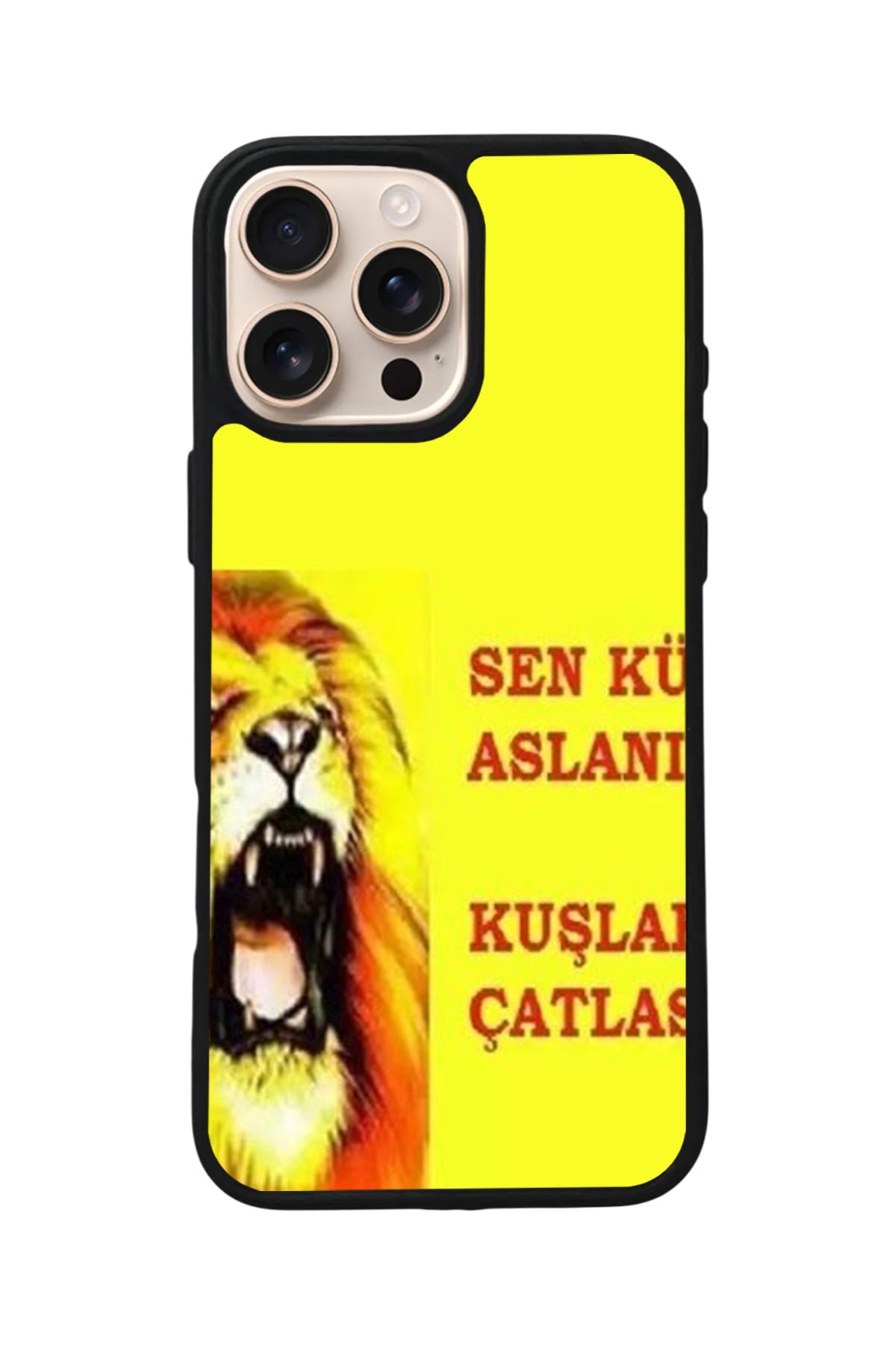 Aksel Kılıf Apple iPhone 16 Pro Uyumlu Baskılı,Mat Siyah,Yumuşak Silikon,Koruyucu,Şok Emici Kapak,Kılıf