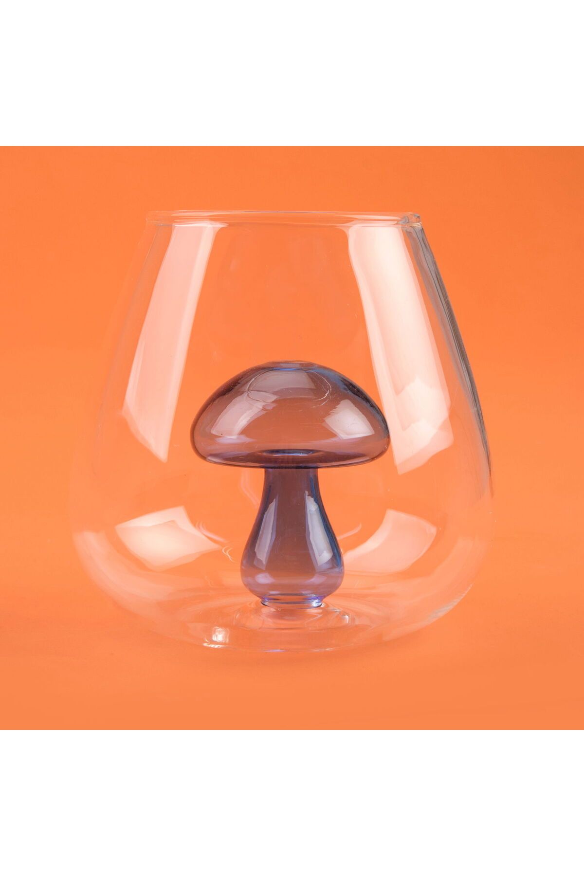 ASPARTAM Kitchen Figürlü Borosilikat Cam Meşrubat Bardağı - Şeffaf / Mavi - 360 ml