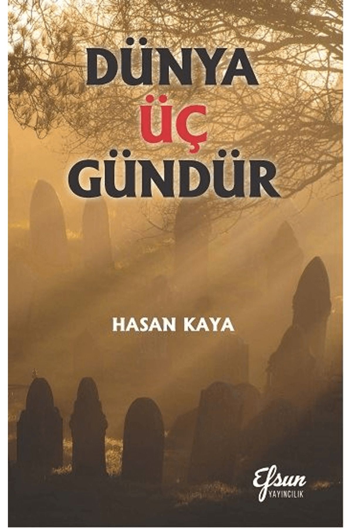 Efsun Yayıncılık Dünya Üç Gündür / Hasan Kaya / Efsun Yayıncılık / 9786257428972