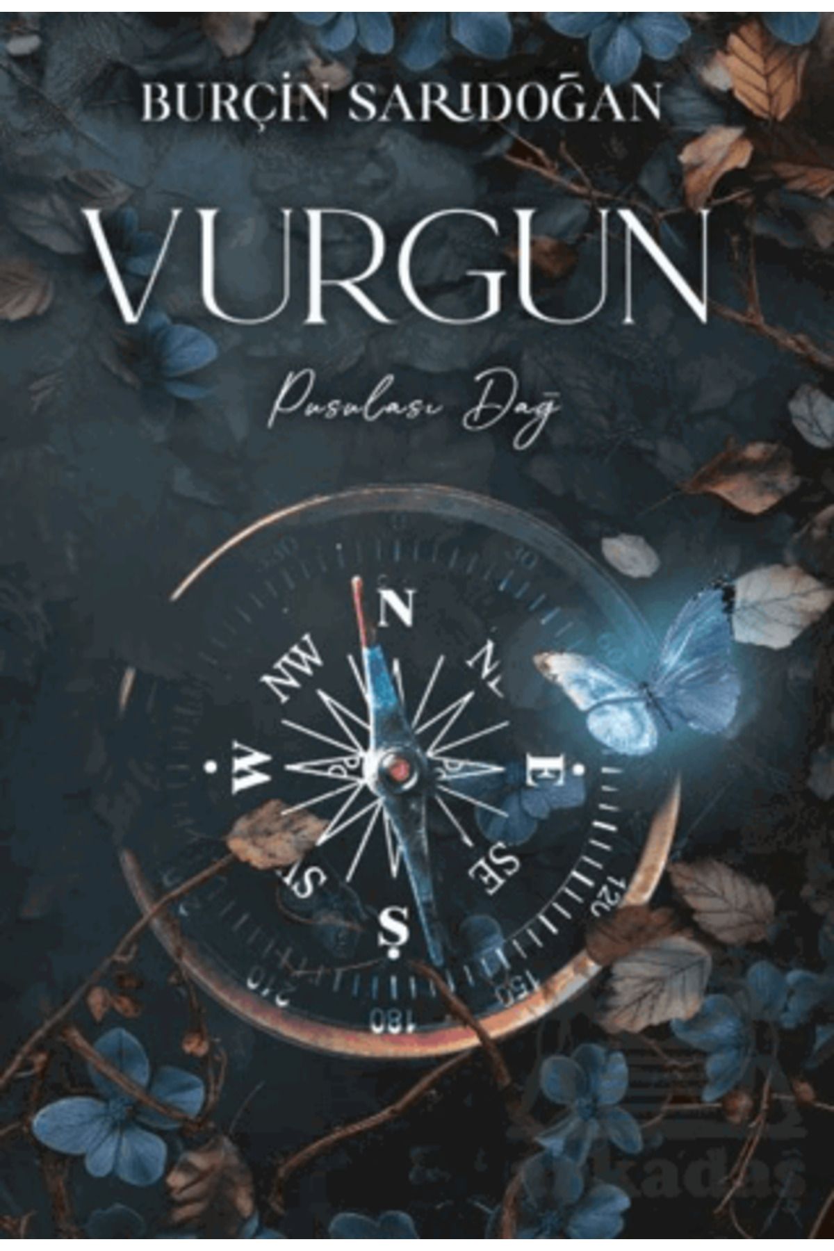 lapis kitap Vurgun - 2 Pusulası Dağ