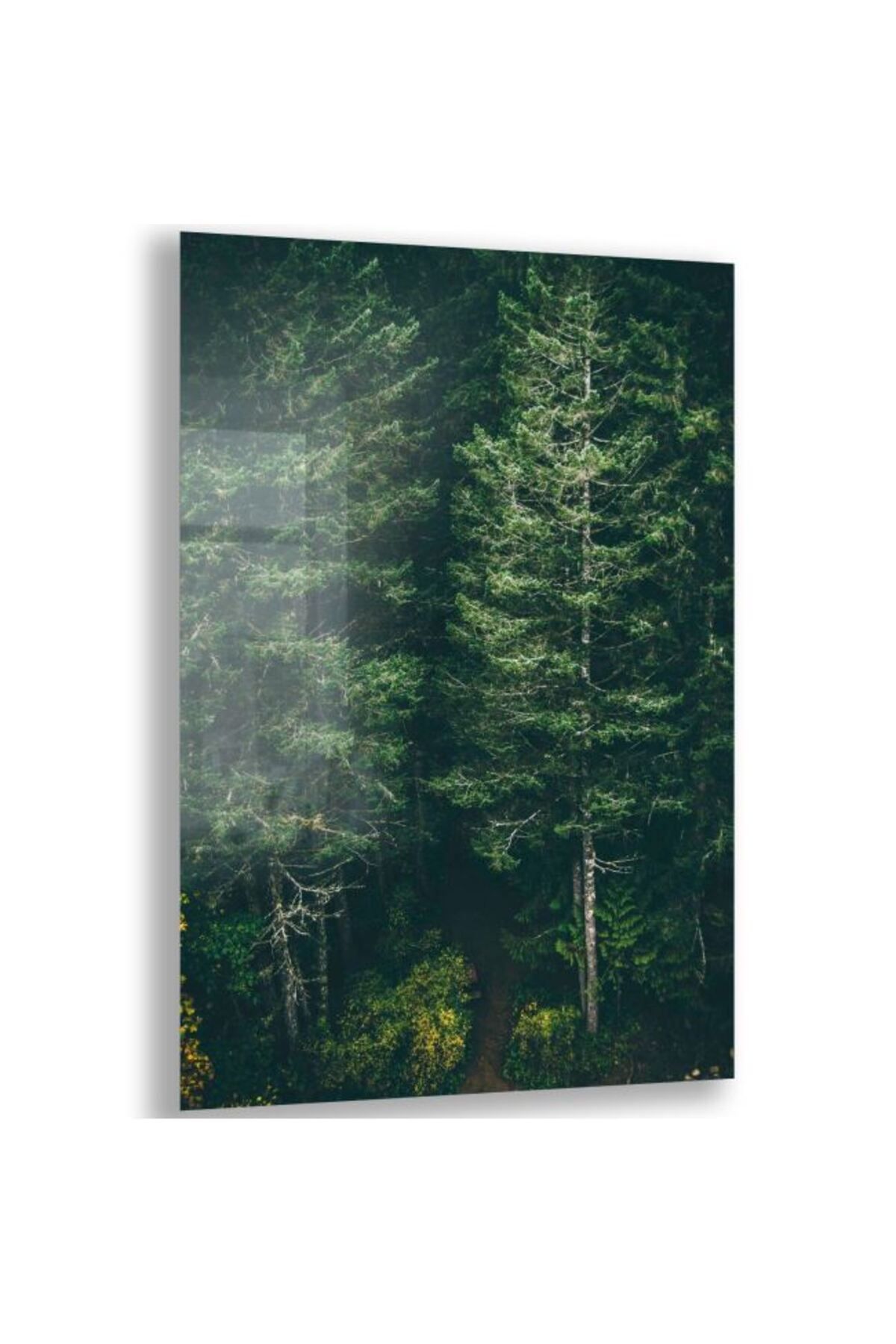 Domovit Yeşil Orman Manzaralı Cam Tablo - Dikey Motif 02-007