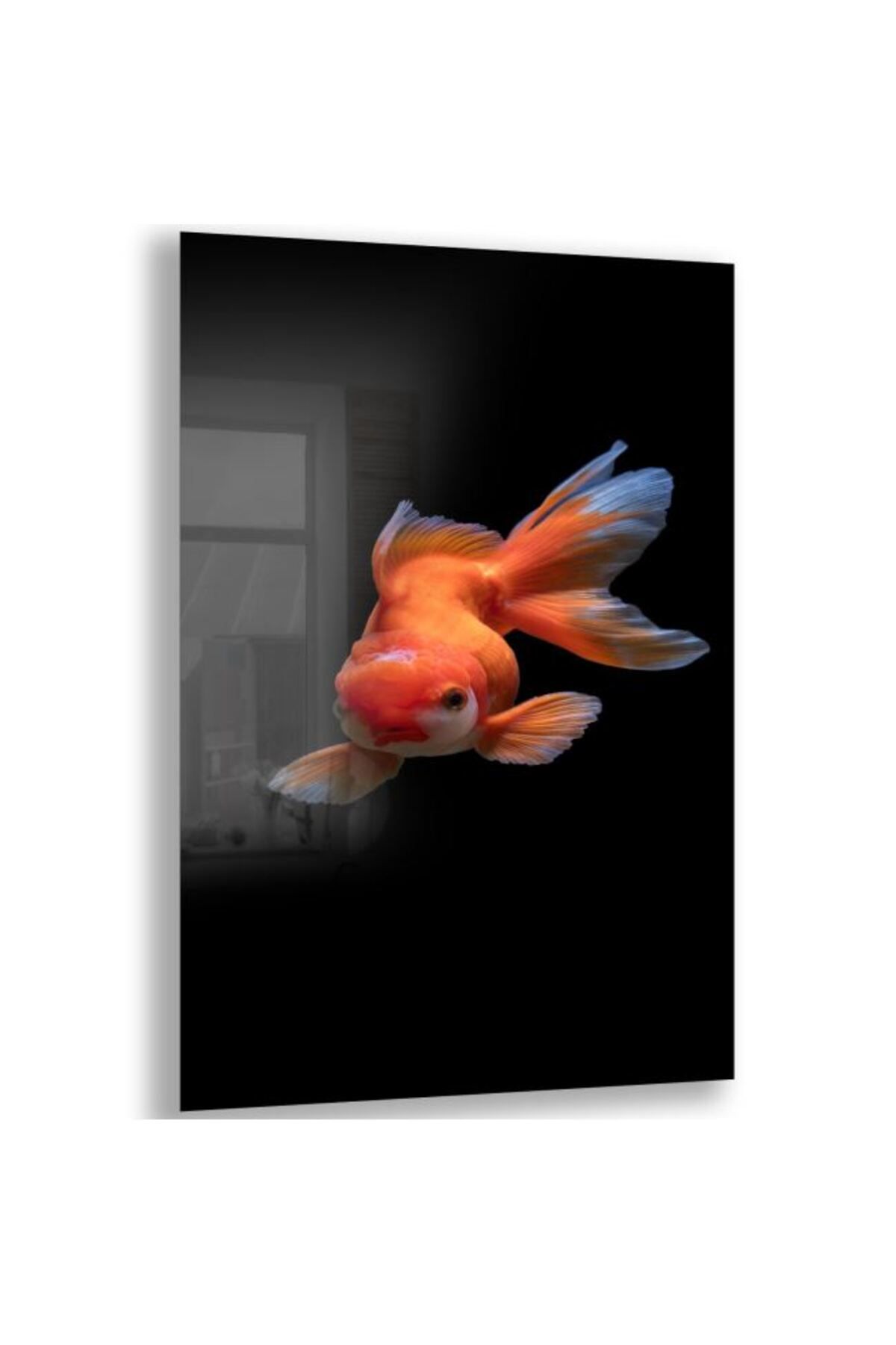 Domovit Balık Cam Tablo - Dikey Motif 02-002