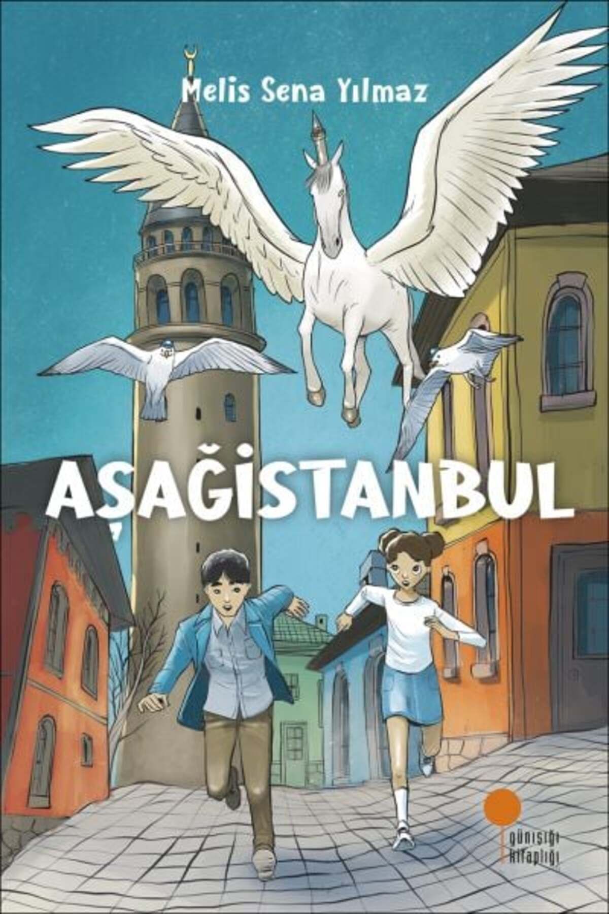 Destek Yayınları Aşağistanbul