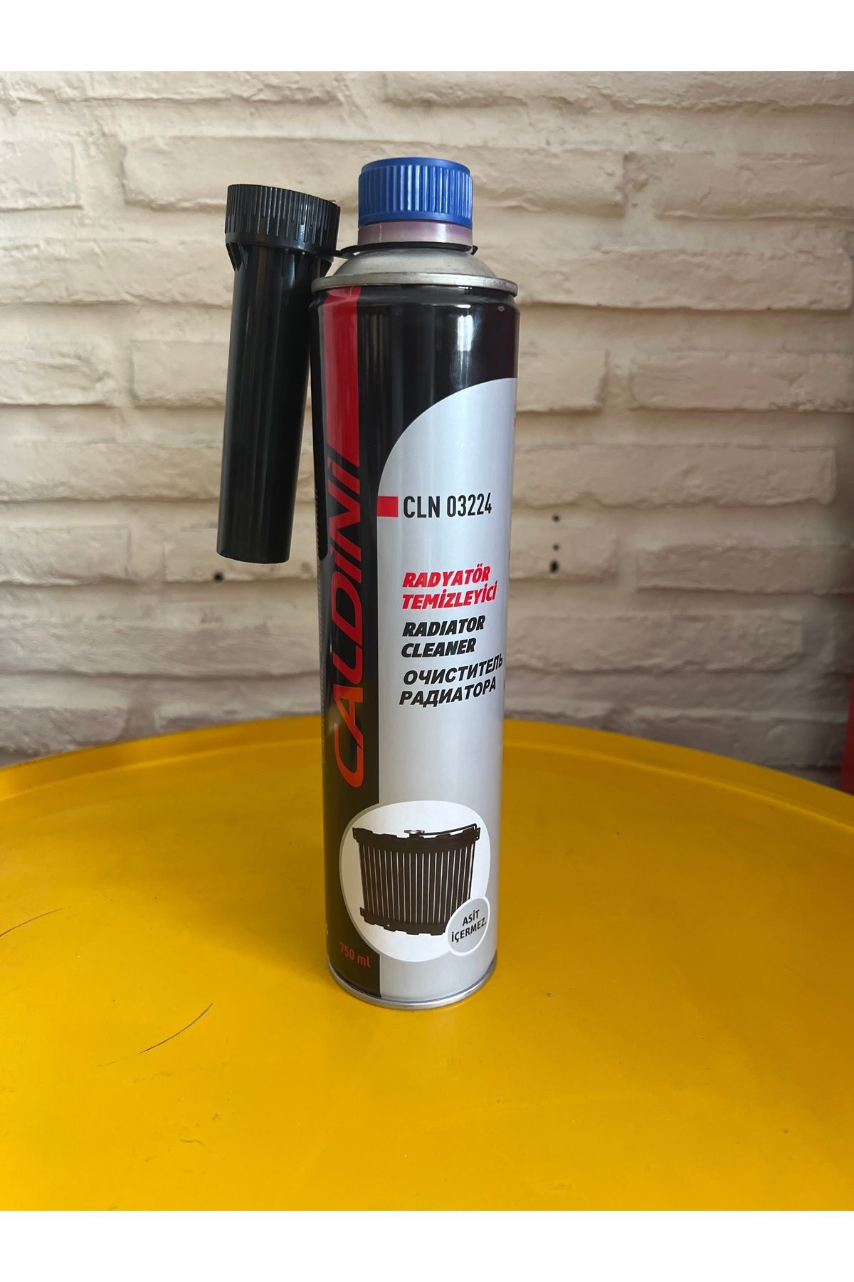CALDİNİ Caldini radyatör temizleyici sprey 750 ml
