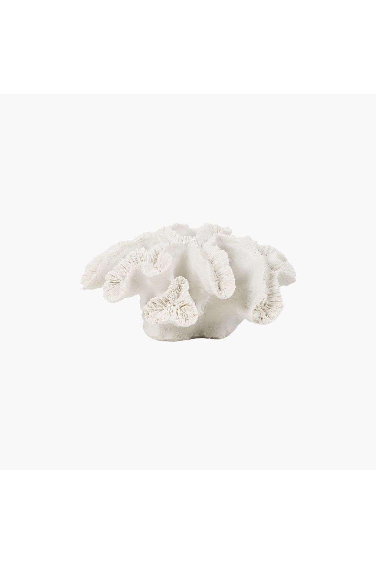 JASMIN CONCEPTS Doğal Mercan 23X21.5X9.5cm