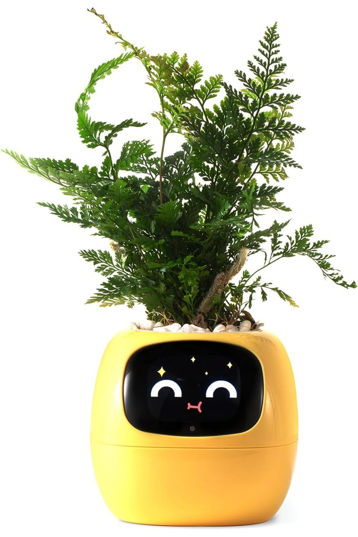 DESERT SPARK PLANTSIO Akıllı Evcil Hayvan Saksı Robotu