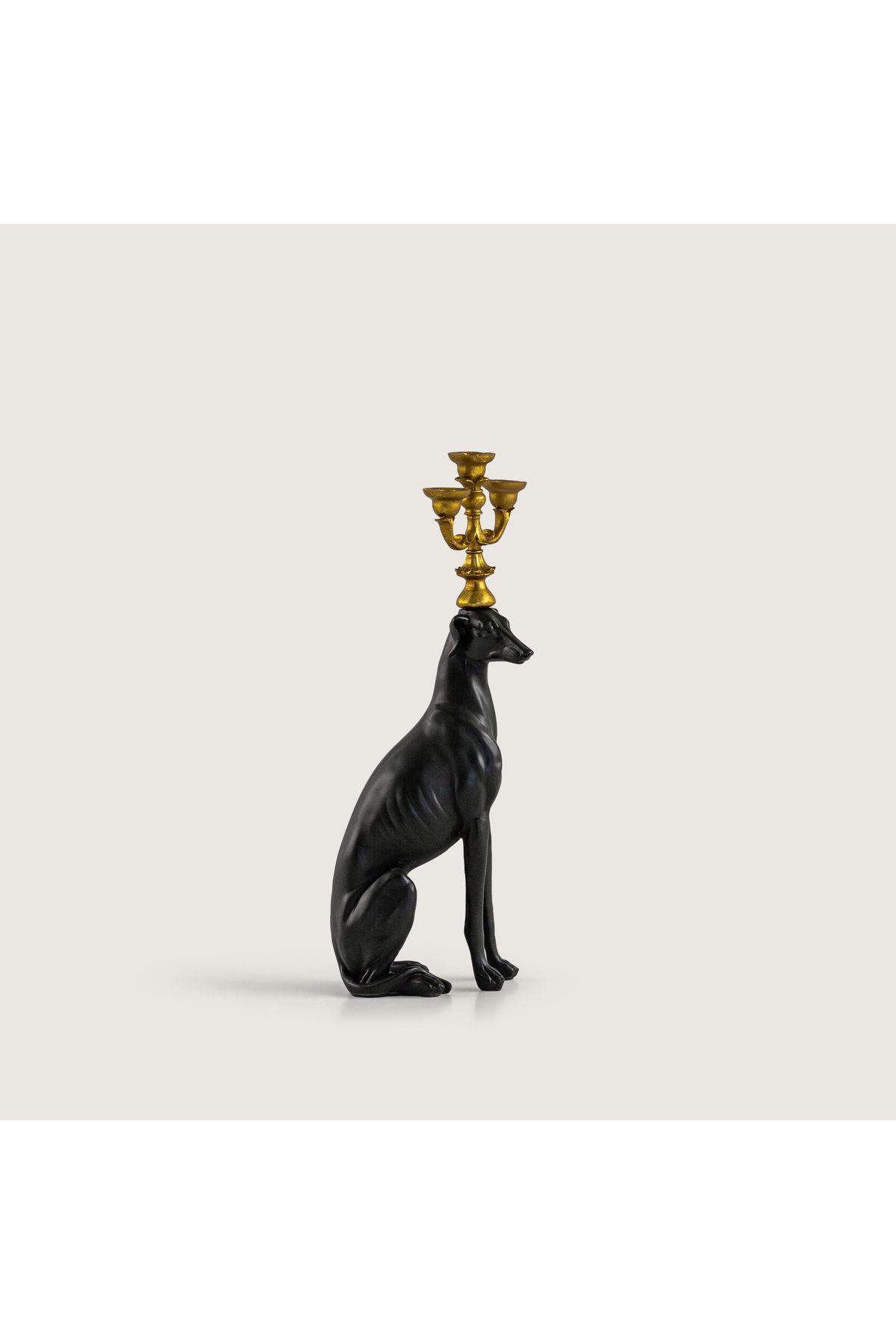 UkyCo Consept CHADALIER DOG HEYKEL