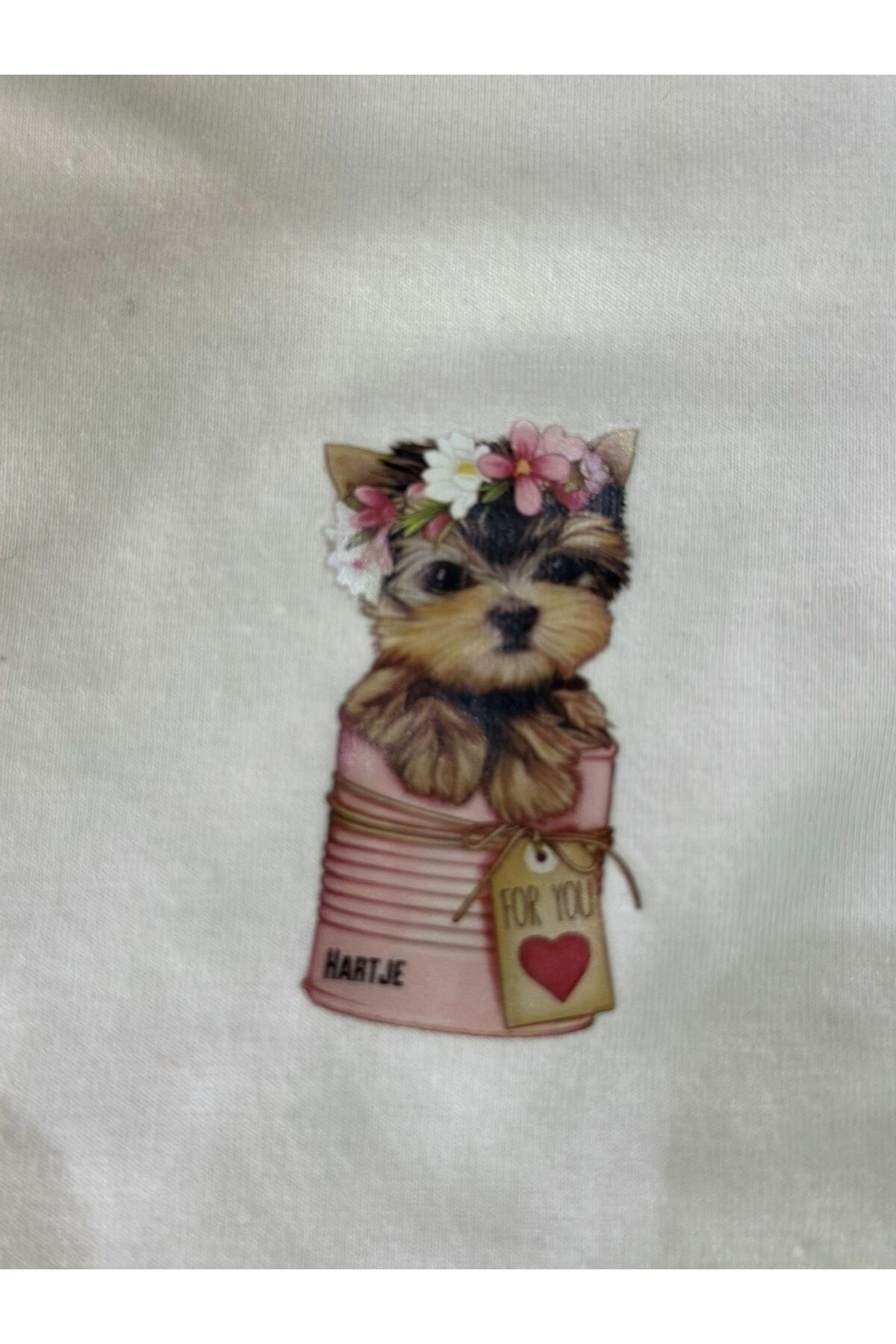 Gönülden Tasarım 2 ADET ÜTÜ İLE YAPIŞAN KEDİ ARMA TRANSFER BASKI 6X3 CM