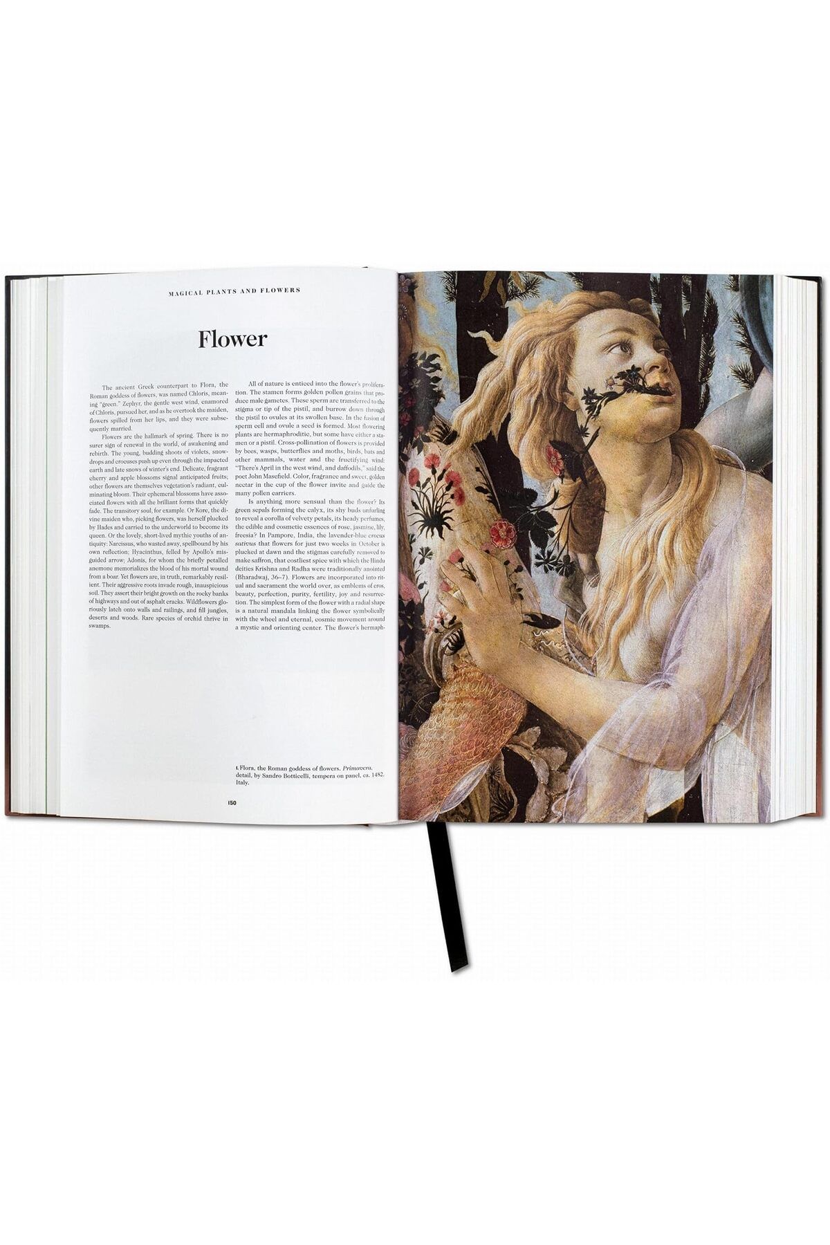 Taschen-The book of symbols 6