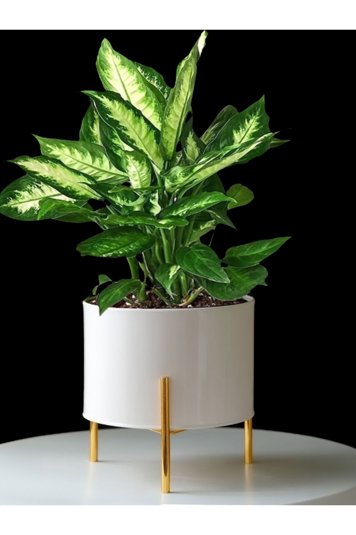 EVSTYLE GOLD AYAKLI DEKORATİF METAL SAKSI