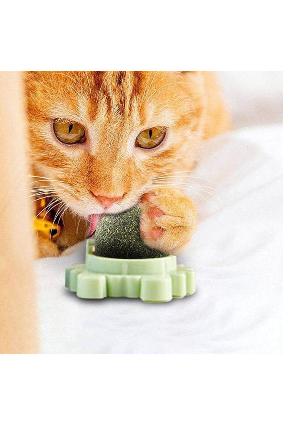 Evelise-Jucărie interactivă pentru pisoi cu bilă rotativă la 360° din iarbă Catnip pentru curățarea dinților, 5,5 l 5