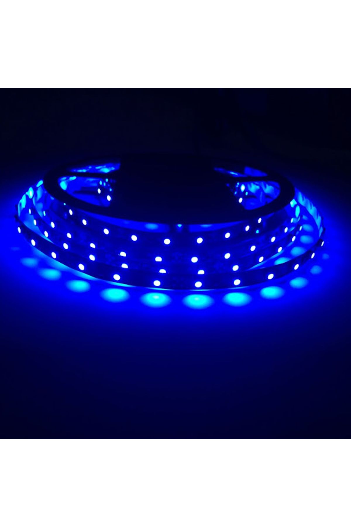 Mila Tek Çipli İç Mekan 3528 Mavi Renk 5 mt Şerit LED