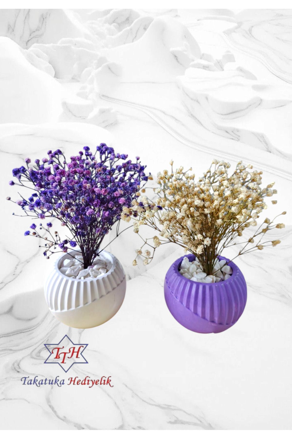 TTH Takatuka Hediyelik 2'li Beton Vazolu Saksılı Dolomit Taşlı Gerçek Kuru Çiçek Cipso 17x10cm