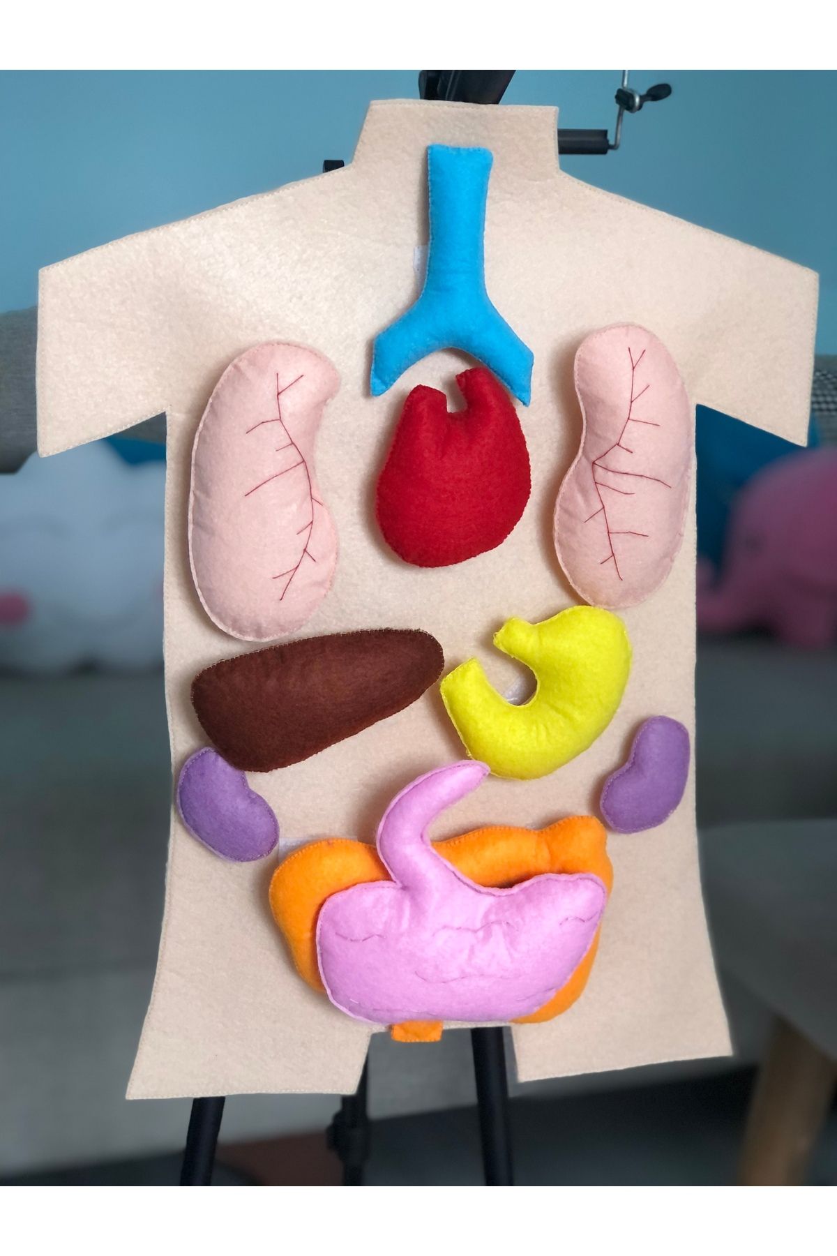 B&M KEÇEDEN VÜCUDUMUZ, İÇ ORGANLAR CIRT CIRTLI EĞİTİCİ OYUNCAK-EL YAPIMI DOLGULU OYUNCAK
