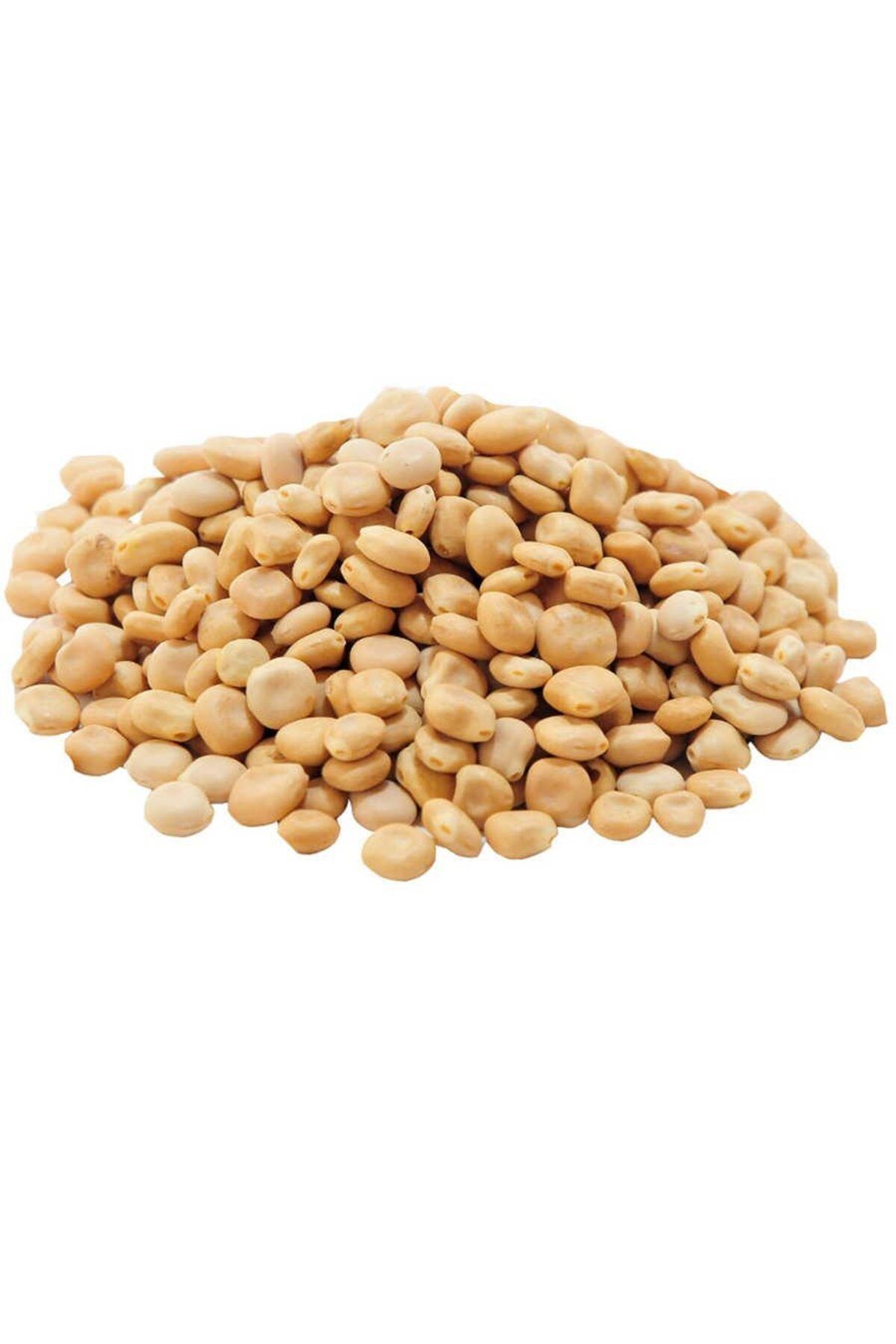 merland benvecocuk Acı Bakla Tohumu Yahudi Baklası Doğal 50 Gr Paket