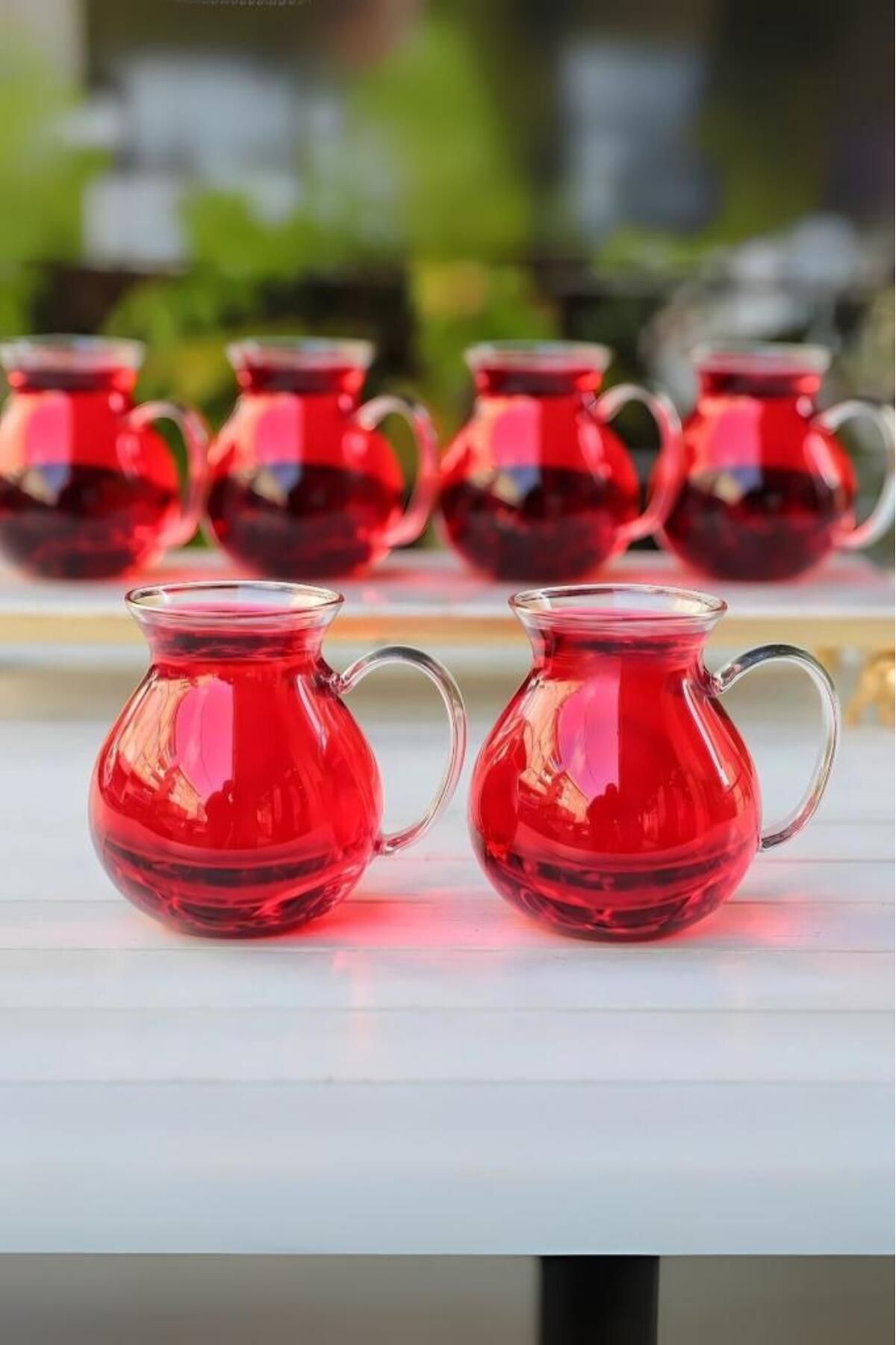 MİEN Mien Isıya Dayanıklı 6'lı Borosilikat Cam Bardak Kulplu Modern Çay Bardağı Seti Takımı